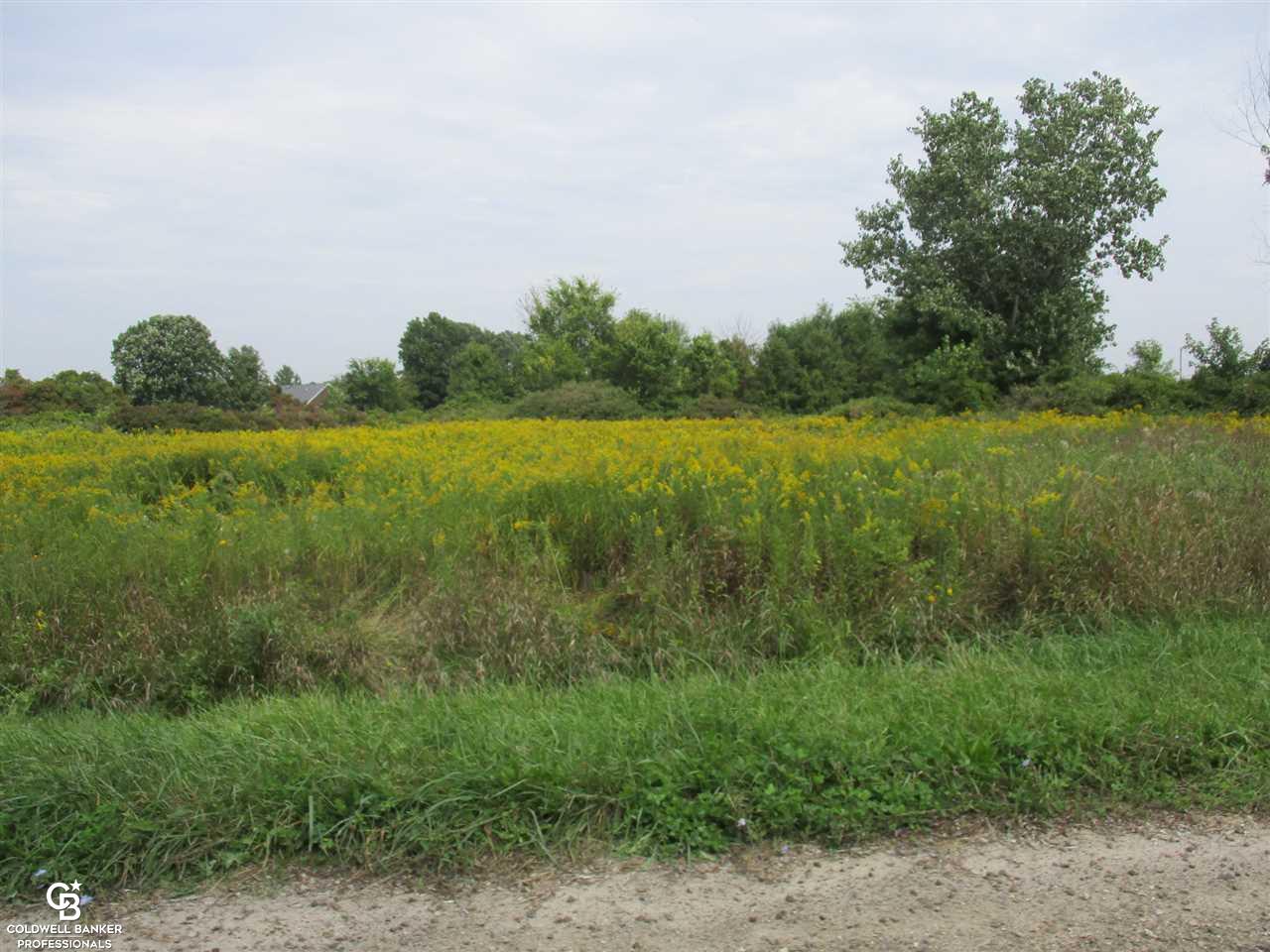 00 Cryderman Road Parcel #1 Richmond Township MI 48062