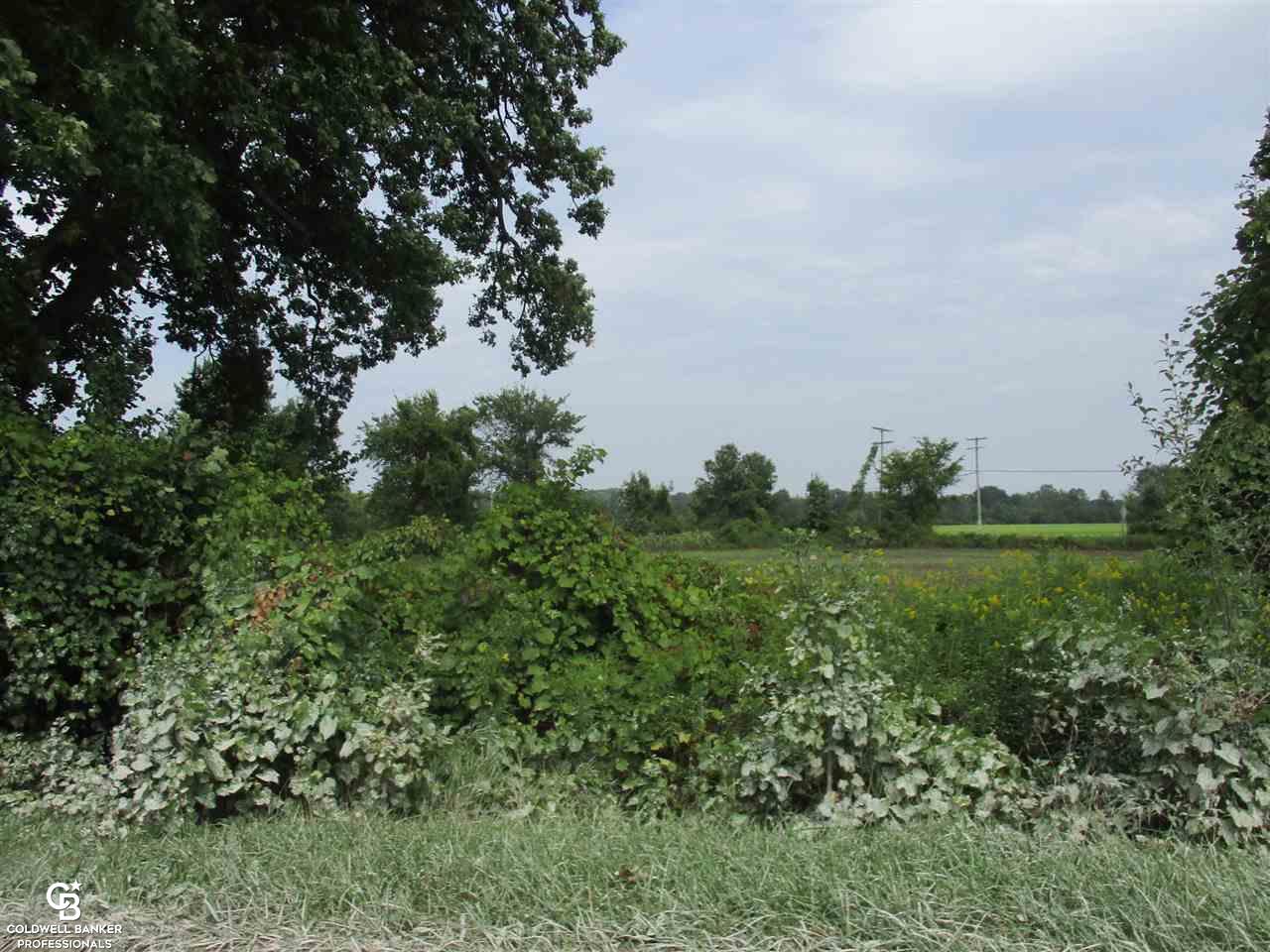 00 Cryderman Road Parcel #1 Richmond Township MI 48062