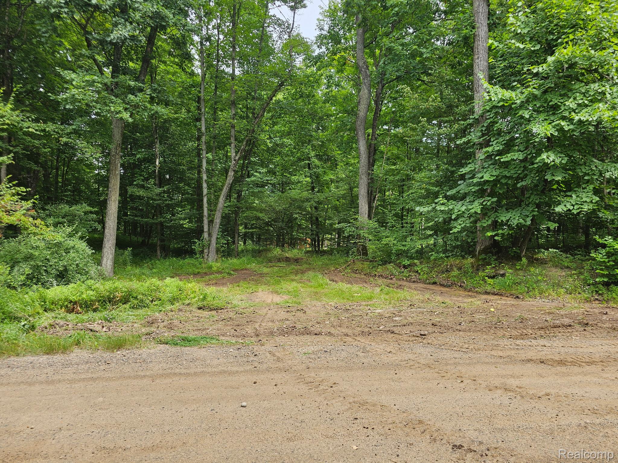 8600 Eagle Road Rose Township MI 48350