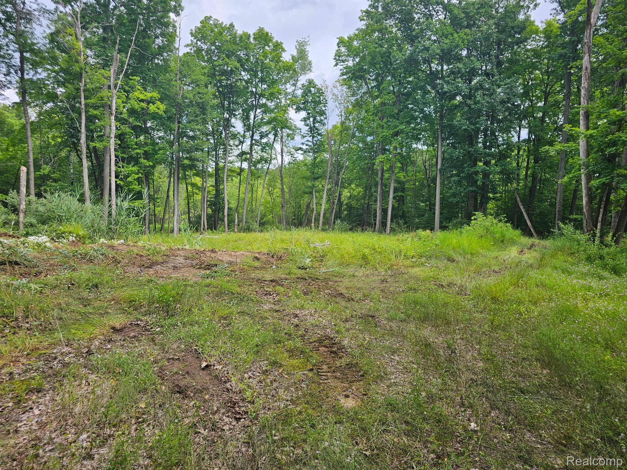 8600 Eagle Road Rose Township MI 48350