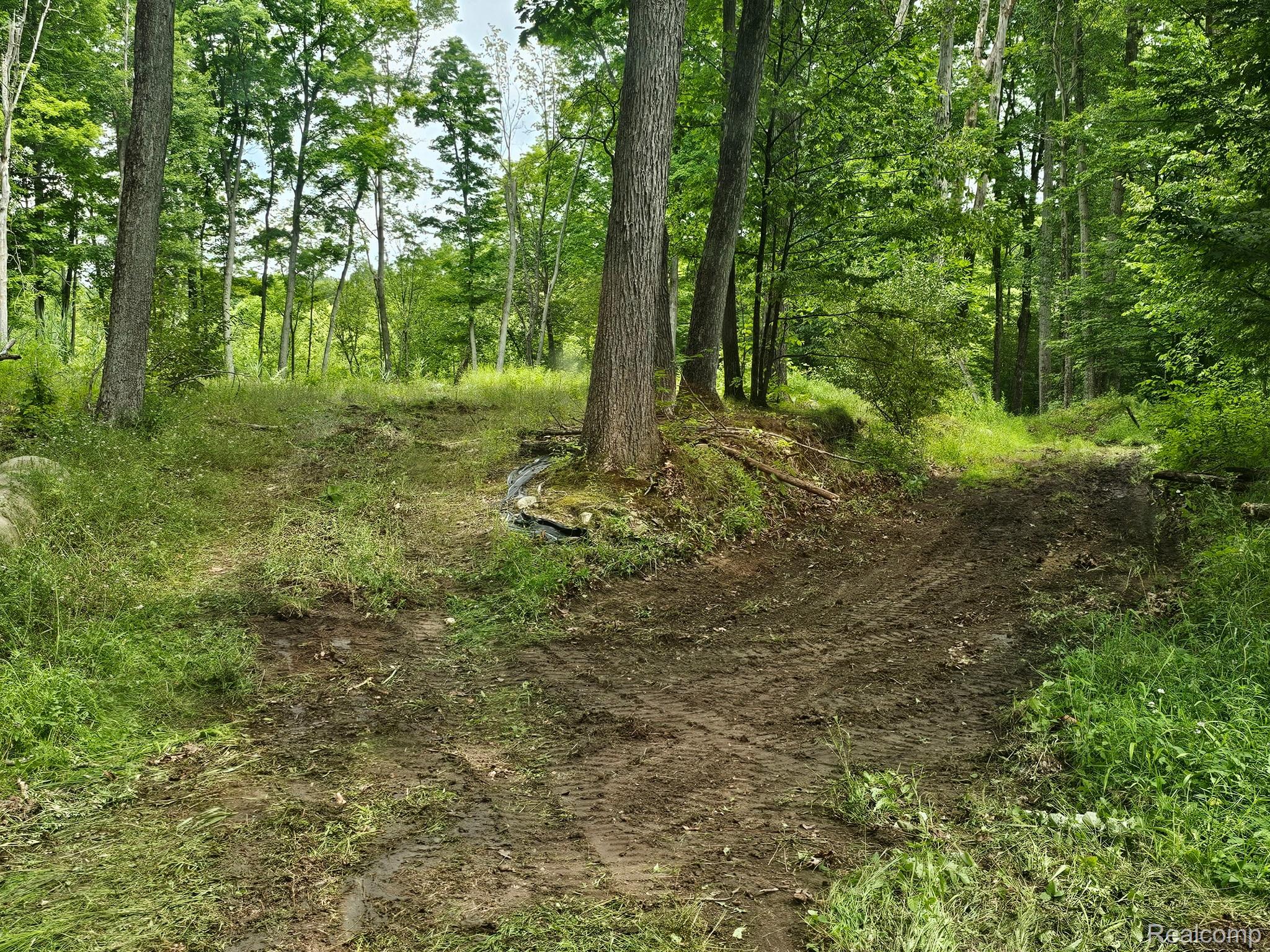 8600 Eagle Road Rose Township MI 48350