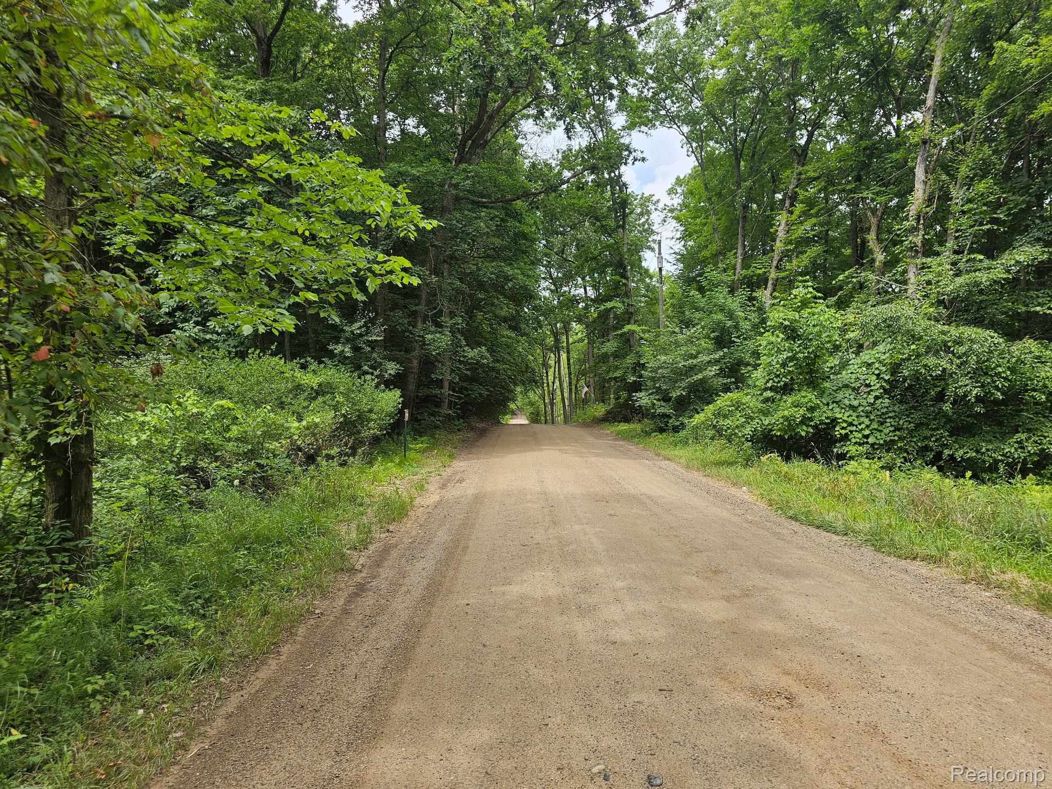 8600 Eagle Road Rose Township MI 48350