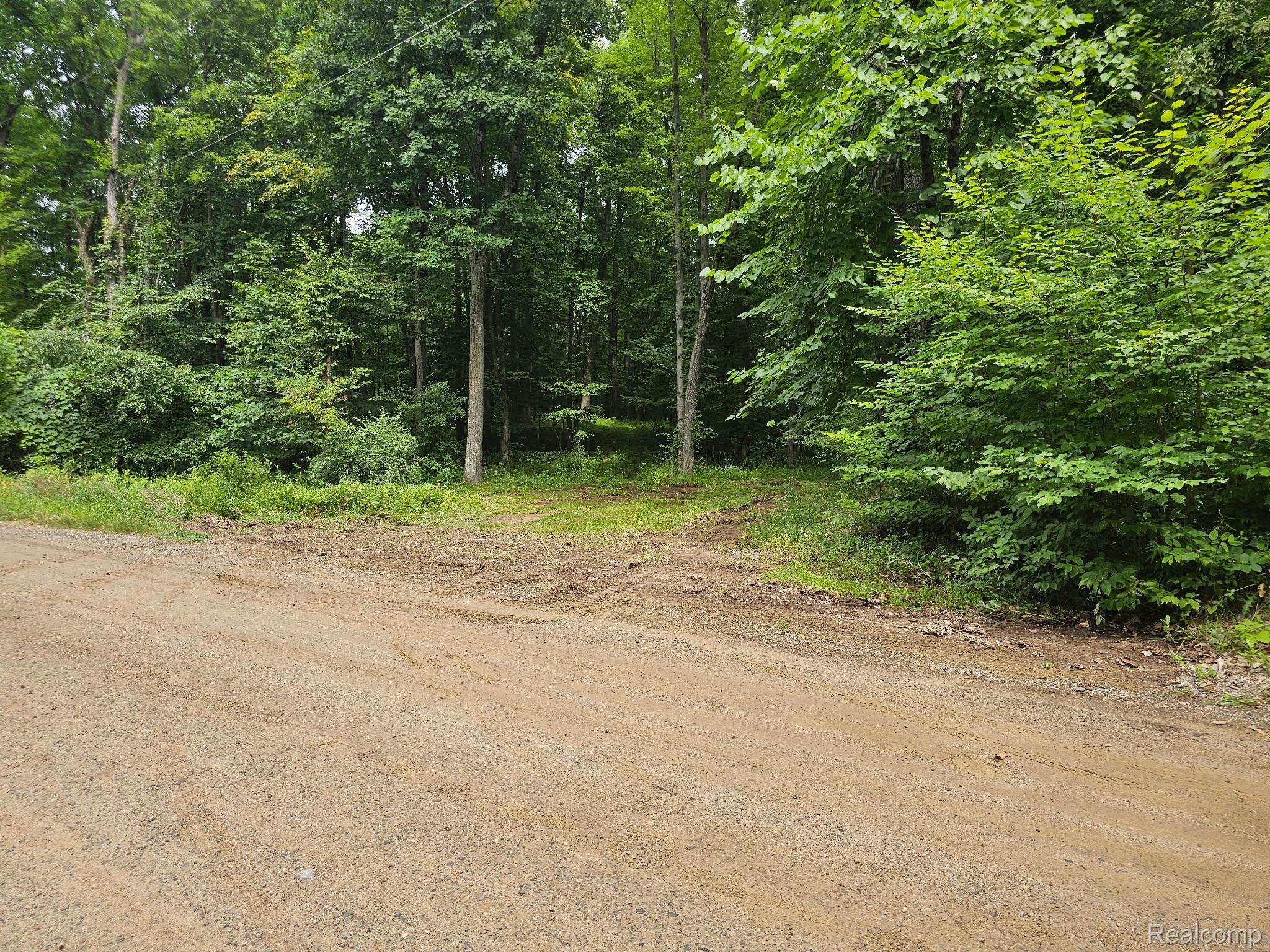 8600 Eagle Road Rose Township MI 48350