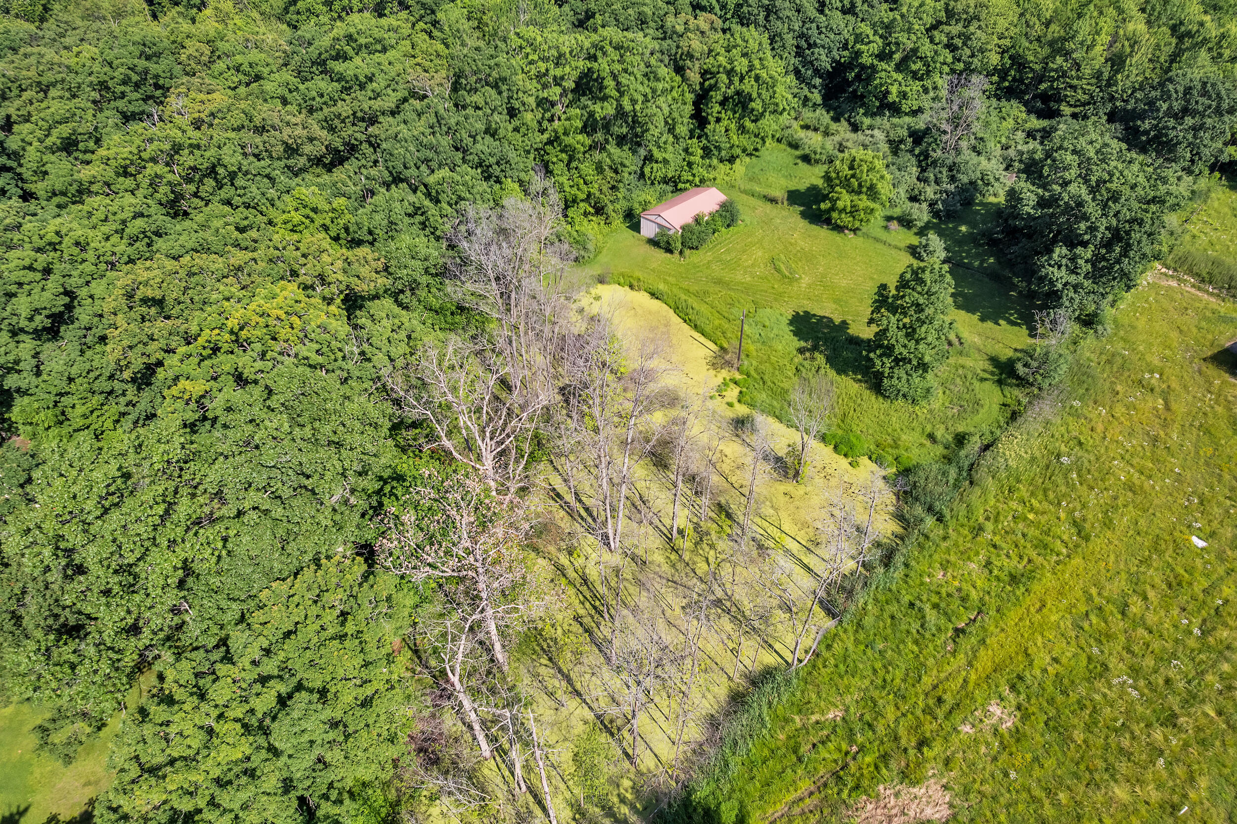 8751 Warren Road Superior Charter Township MI 48170