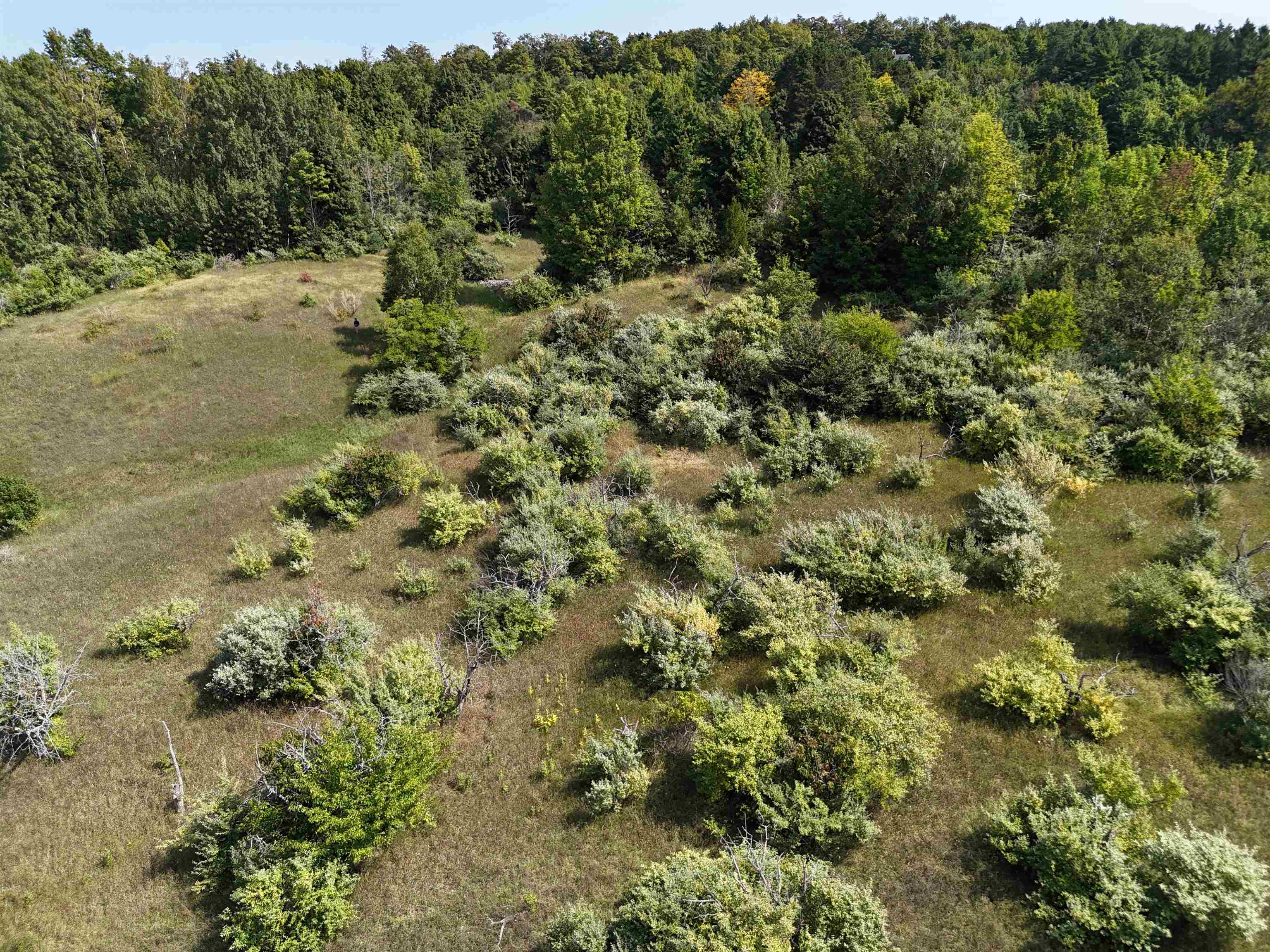 7200 N Christianson Road Leelanau Township MI 49670