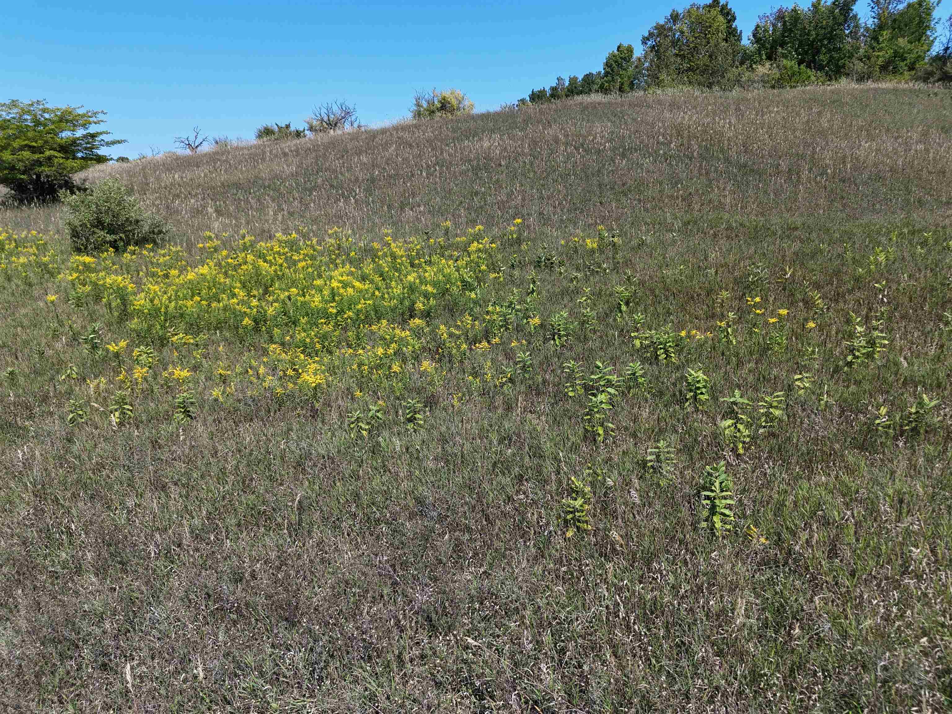 7200 N Christianson Road Leelanau Township MI 49670