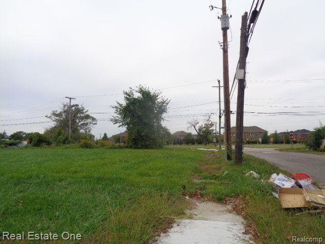 11719 Gable Street Hamtramck City MI 48212