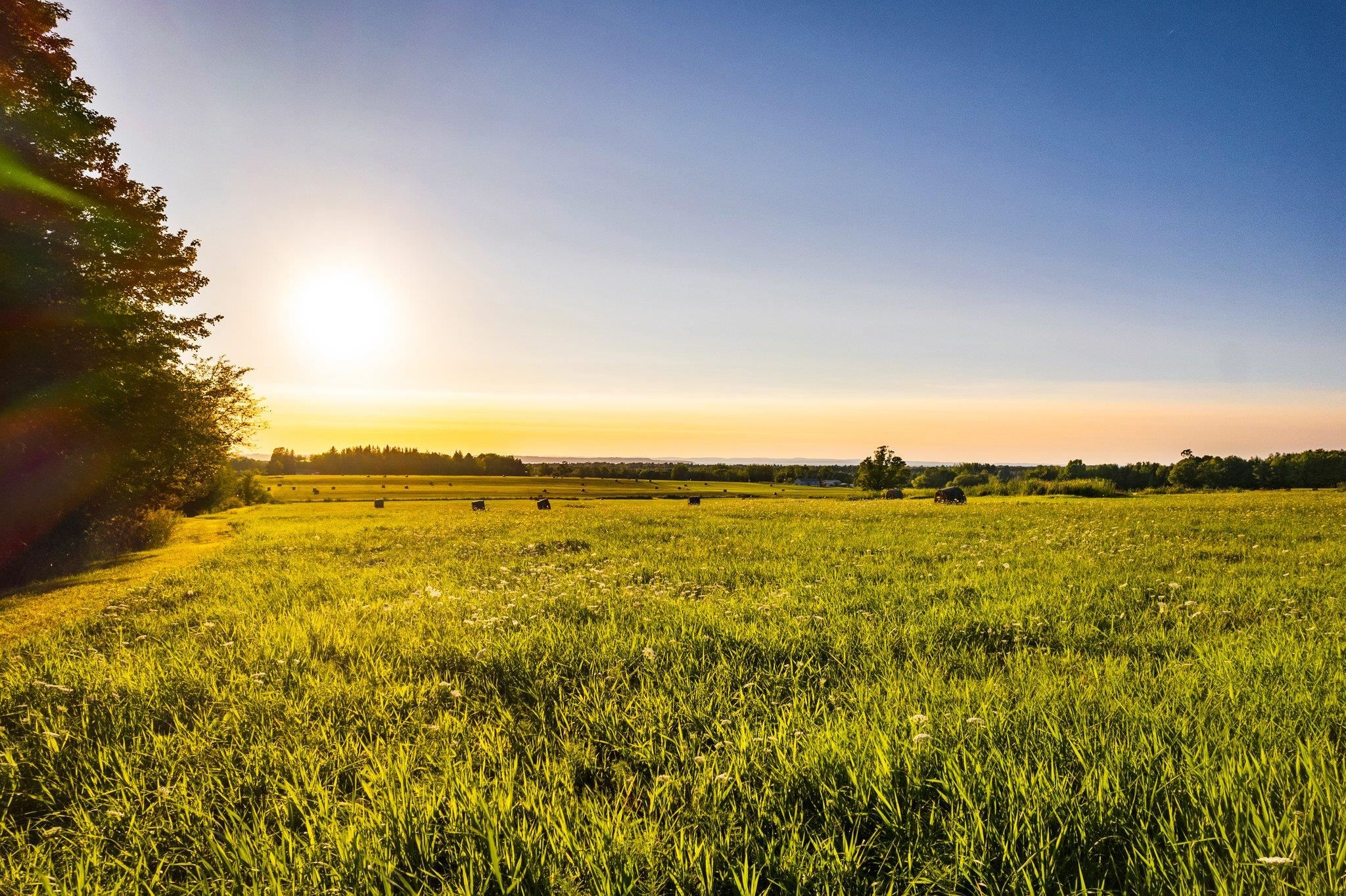5664 Parcel C Cairn Highway Milton Township MI 49648