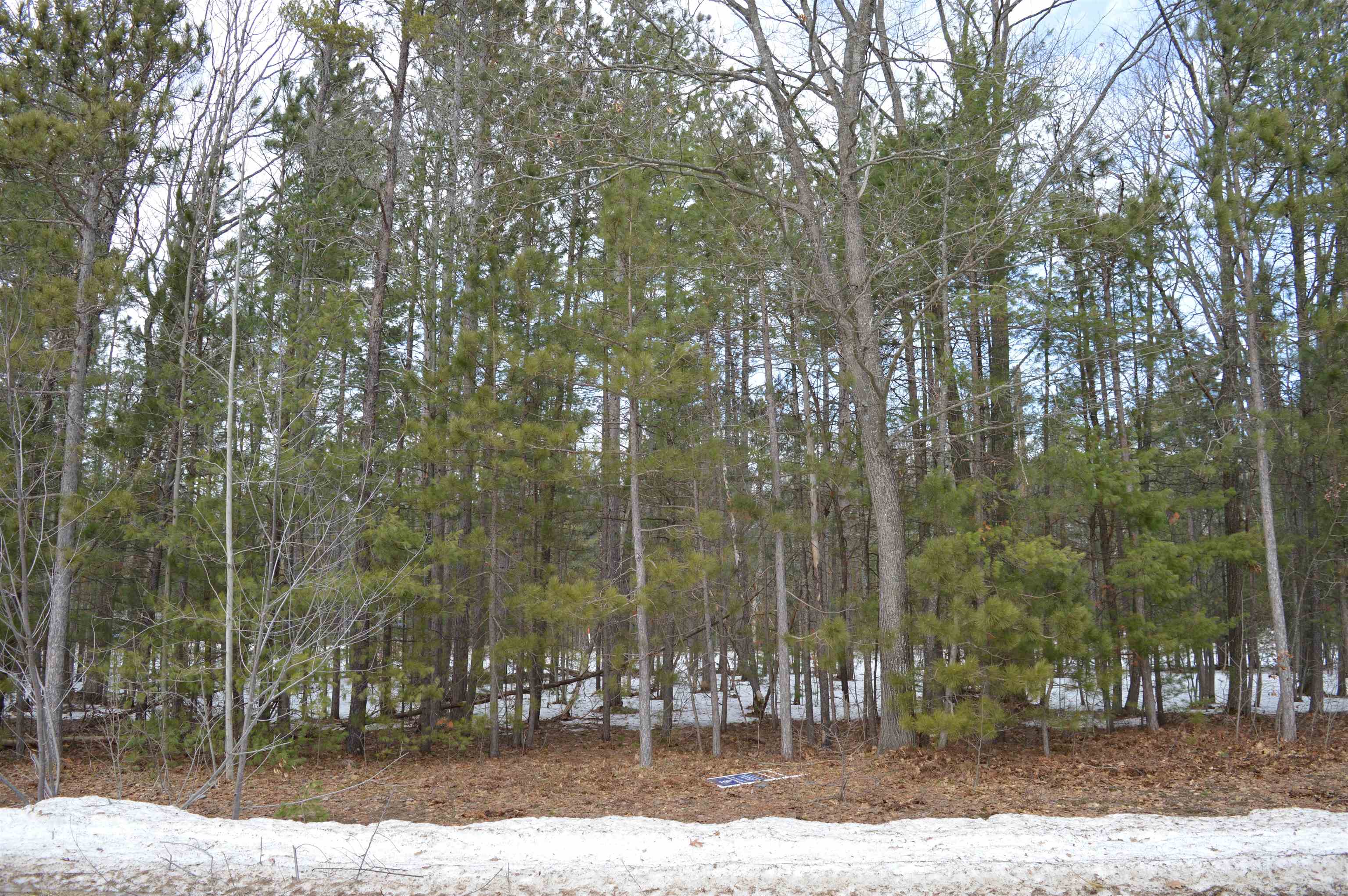 1983 Bunker Drive Kalkaska Township MI 49646