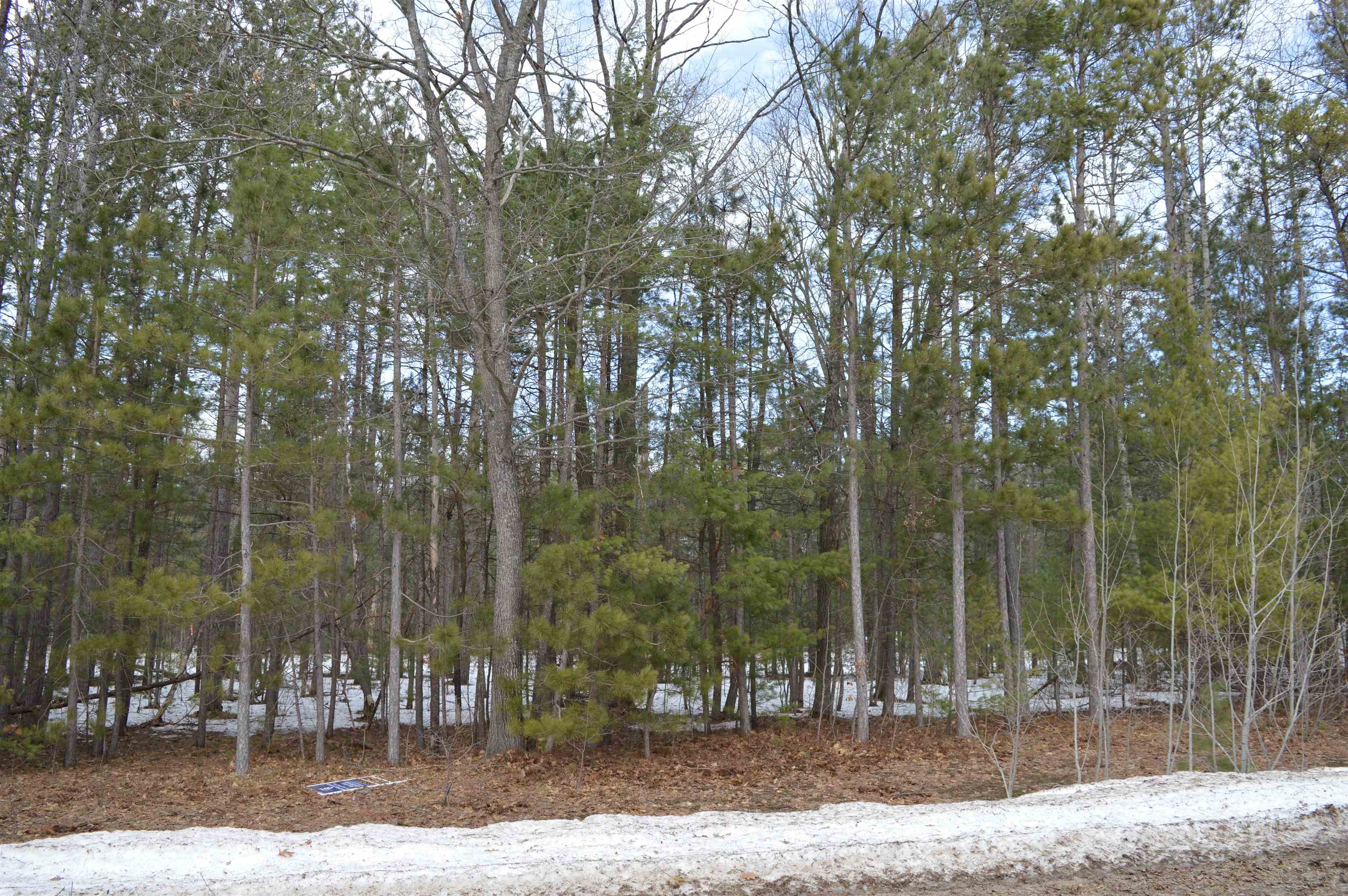 1983 Bunker Drive Kalkaska Township MI 49646