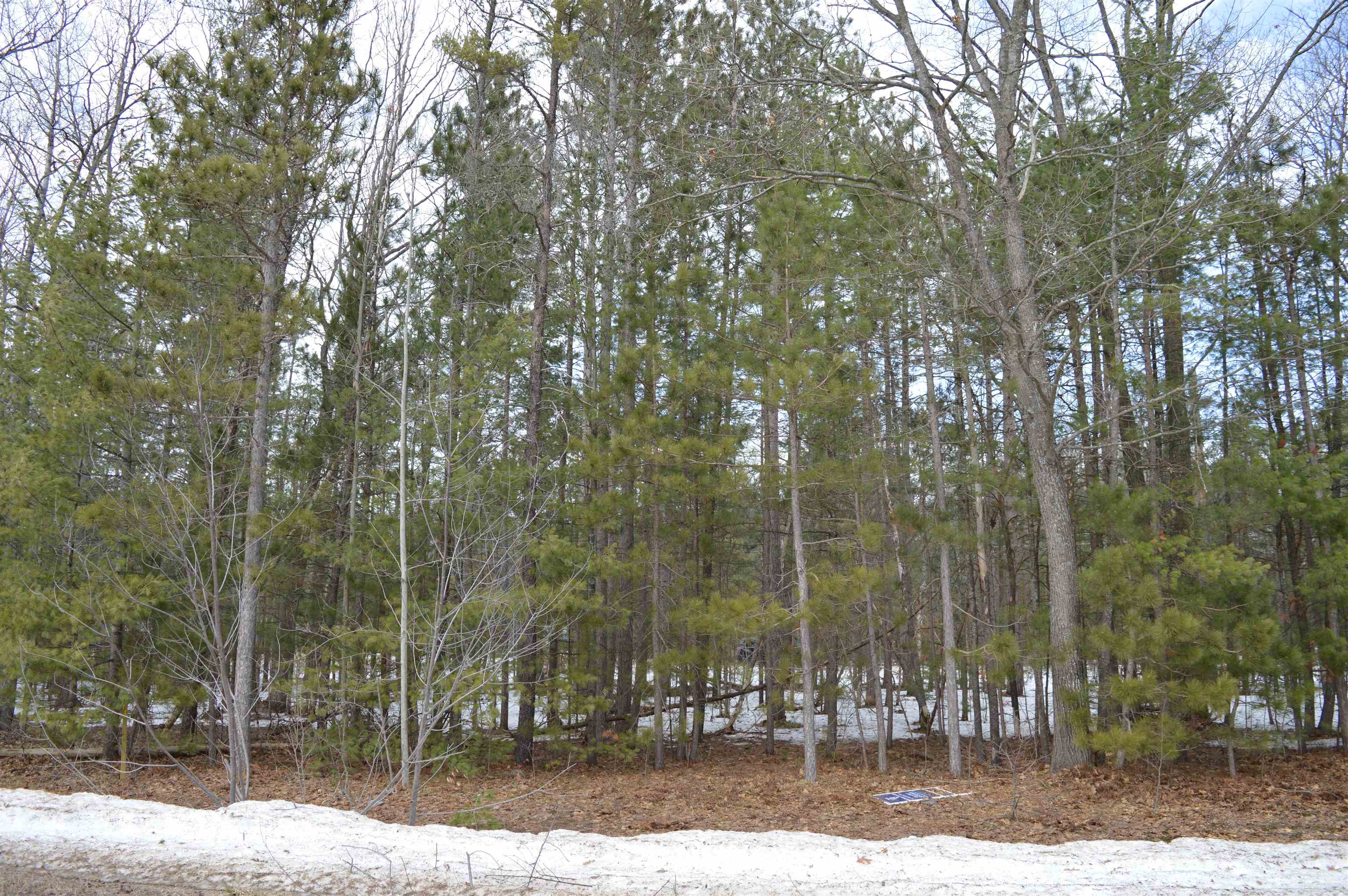 1983 Bunker Drive Kalkaska Township MI 49646