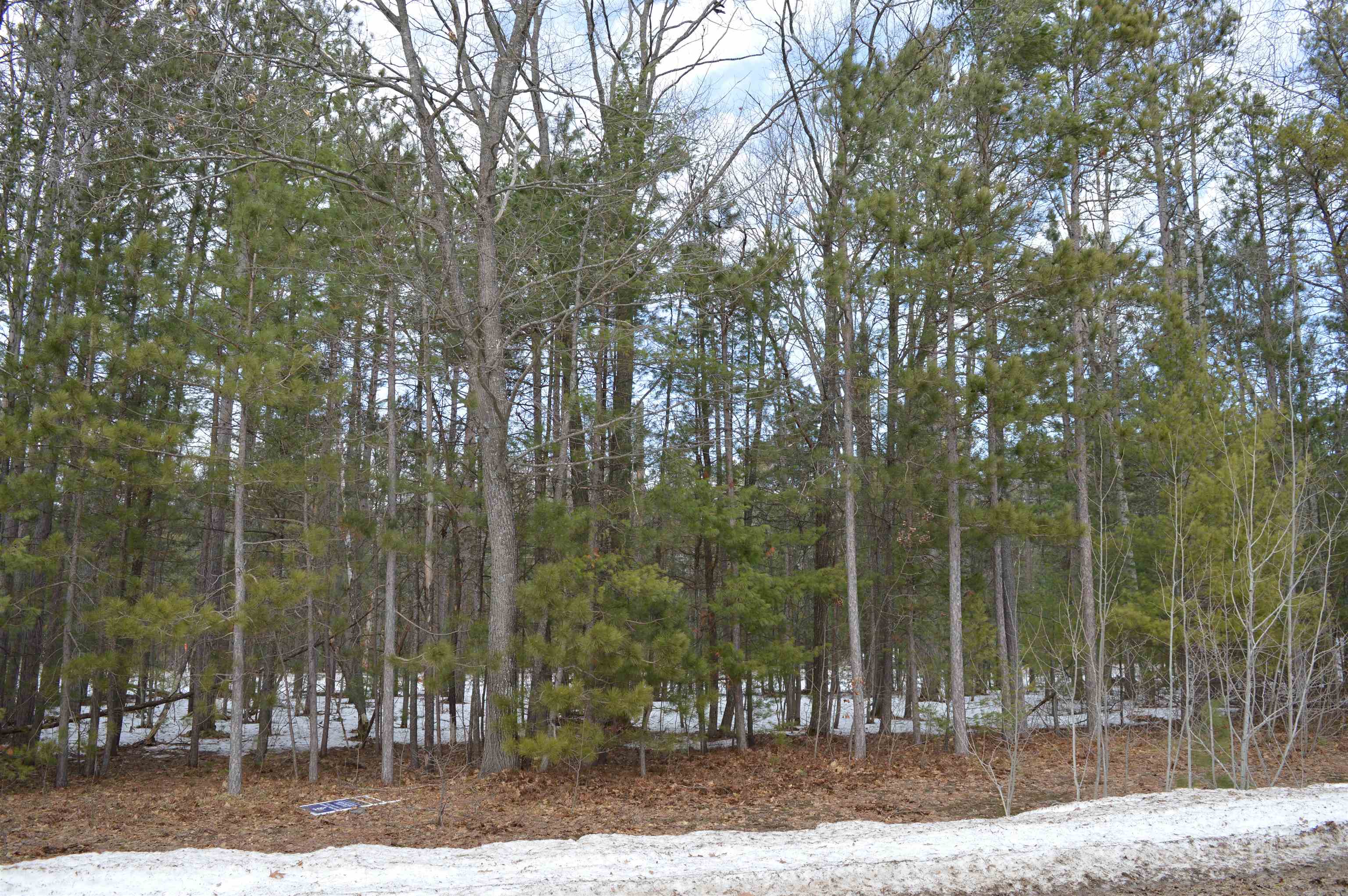 1983 Bunker Drive Kalkaska Township MI 49646