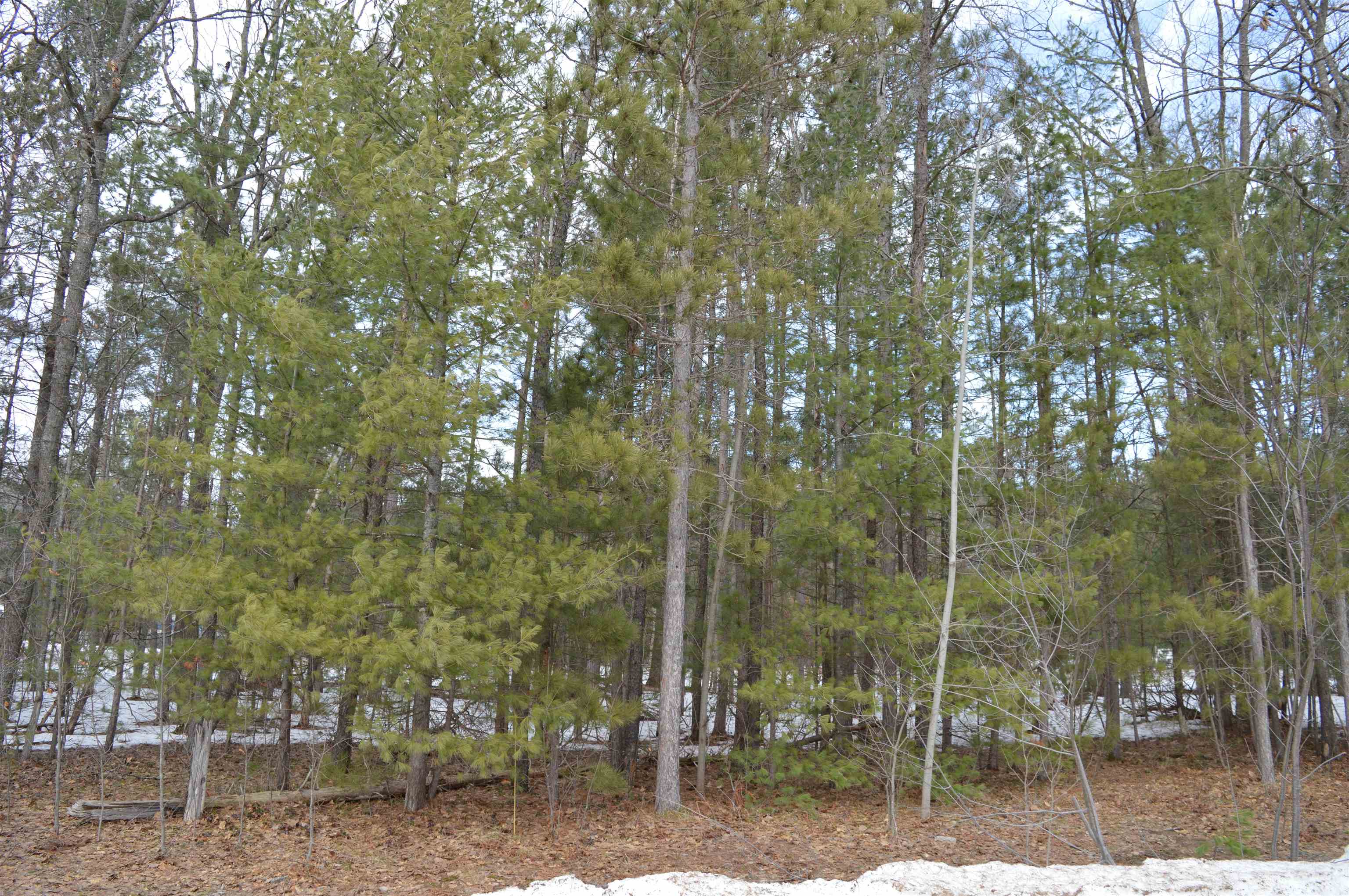 1983 Bunker Drive Kalkaska Township MI 49646