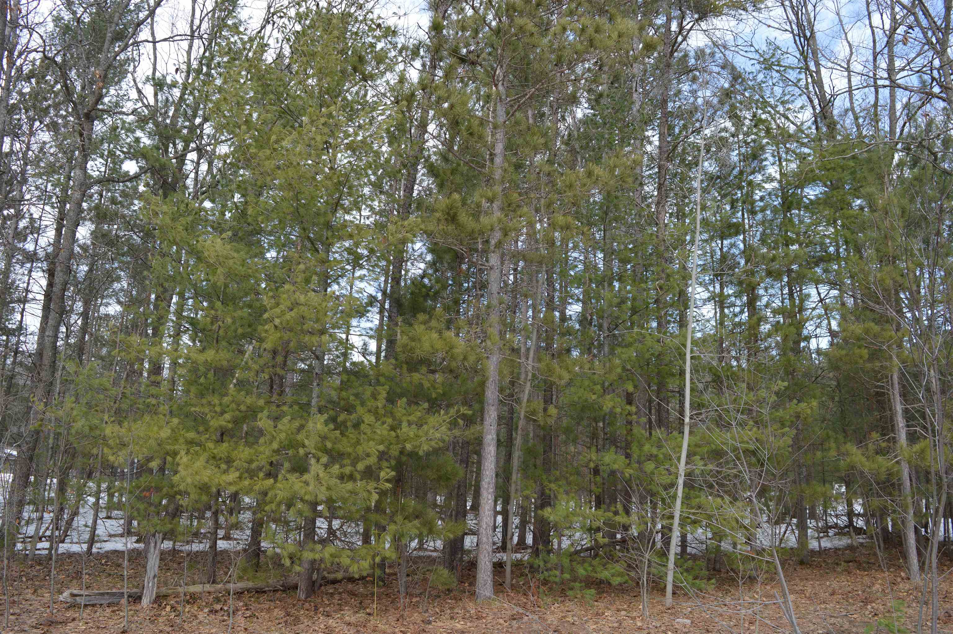 1983 Bunker Drive Kalkaska Township MI 49646