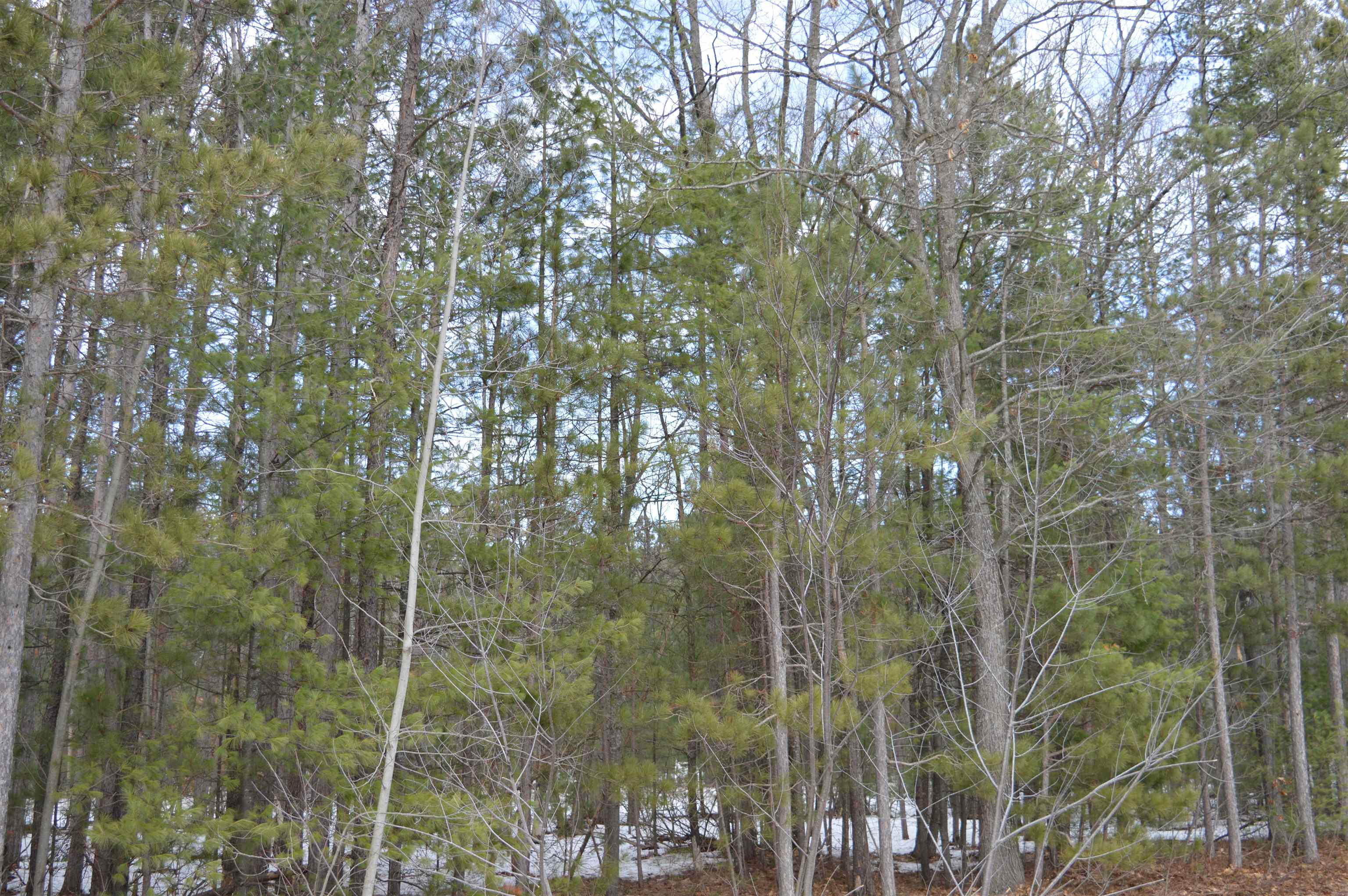 1983 Bunker Drive Kalkaska Township MI 49646