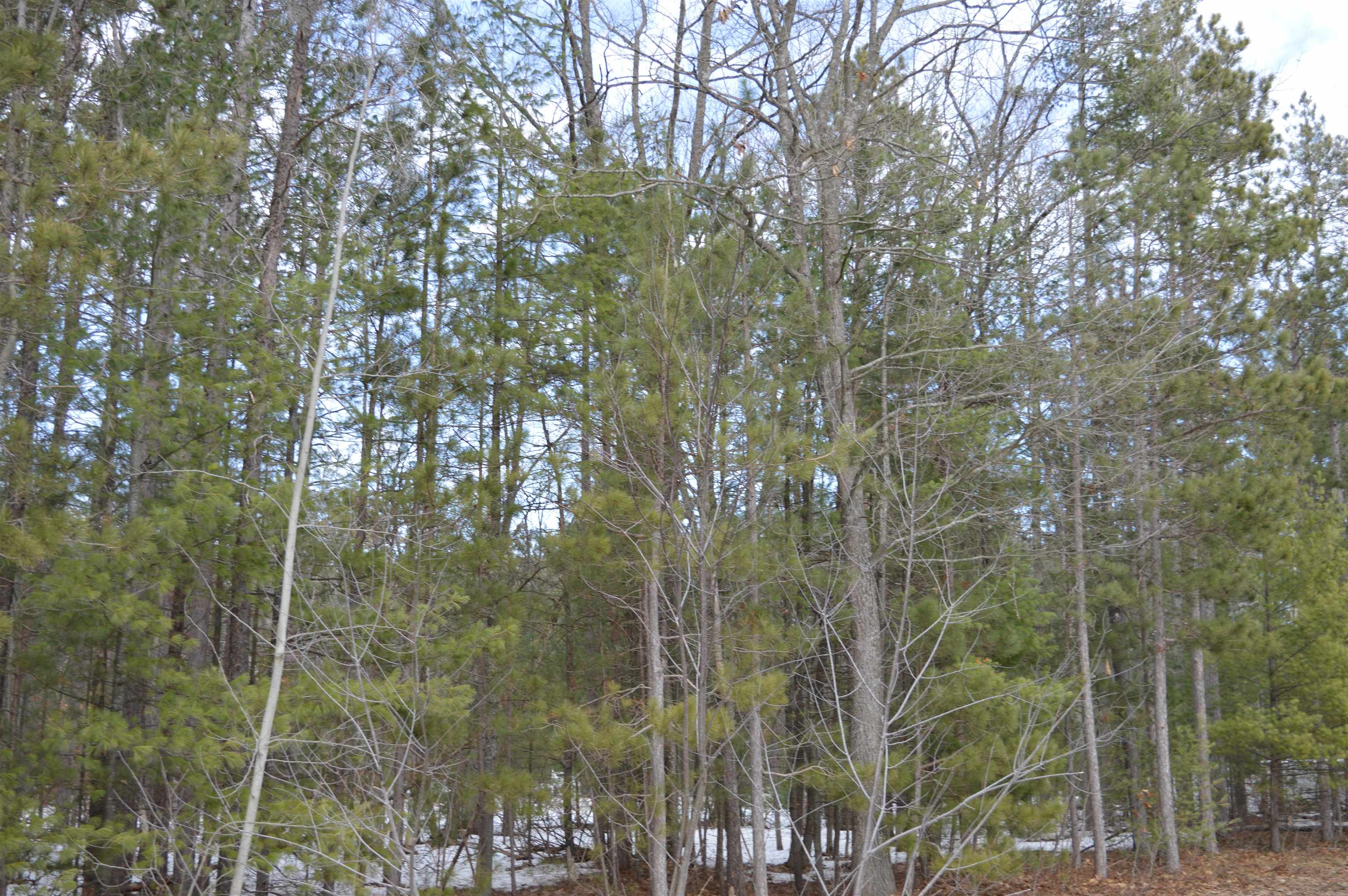 1983 Bunker Drive Kalkaska Township MI 49646