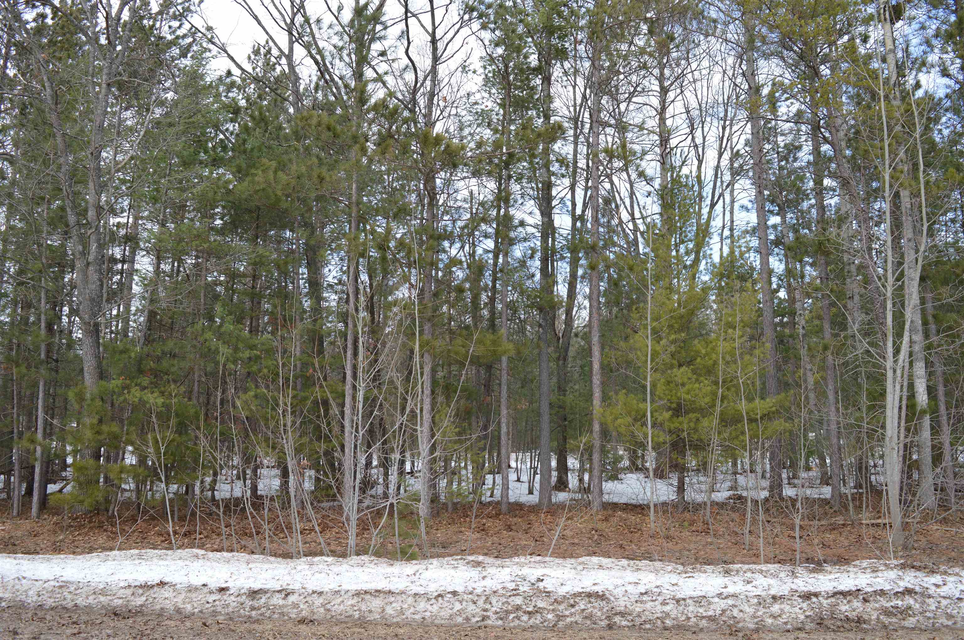 1983 Bunker Drive Kalkaska Township MI 49646