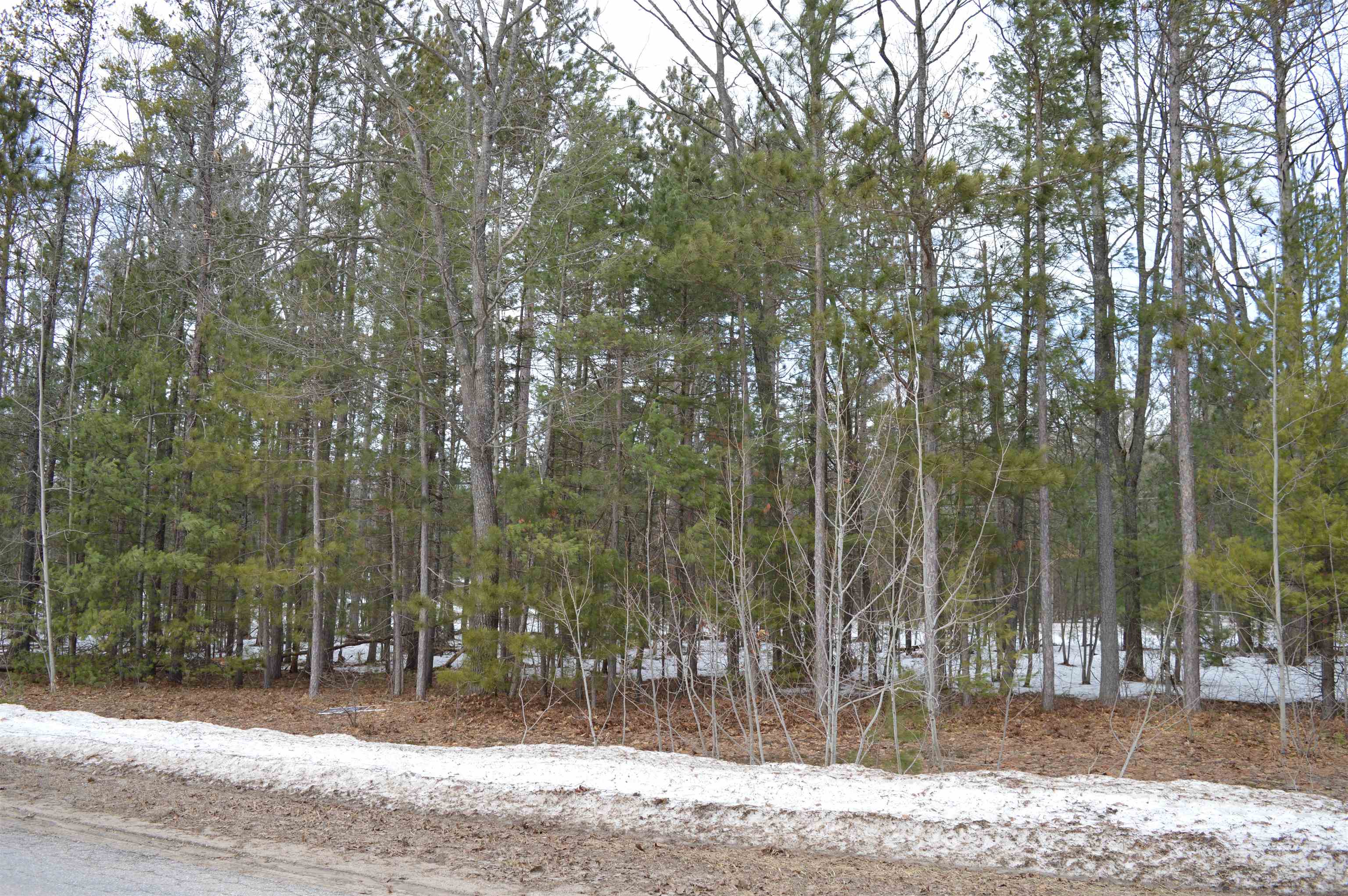 1983 Bunker Drive Kalkaska Township MI 49646