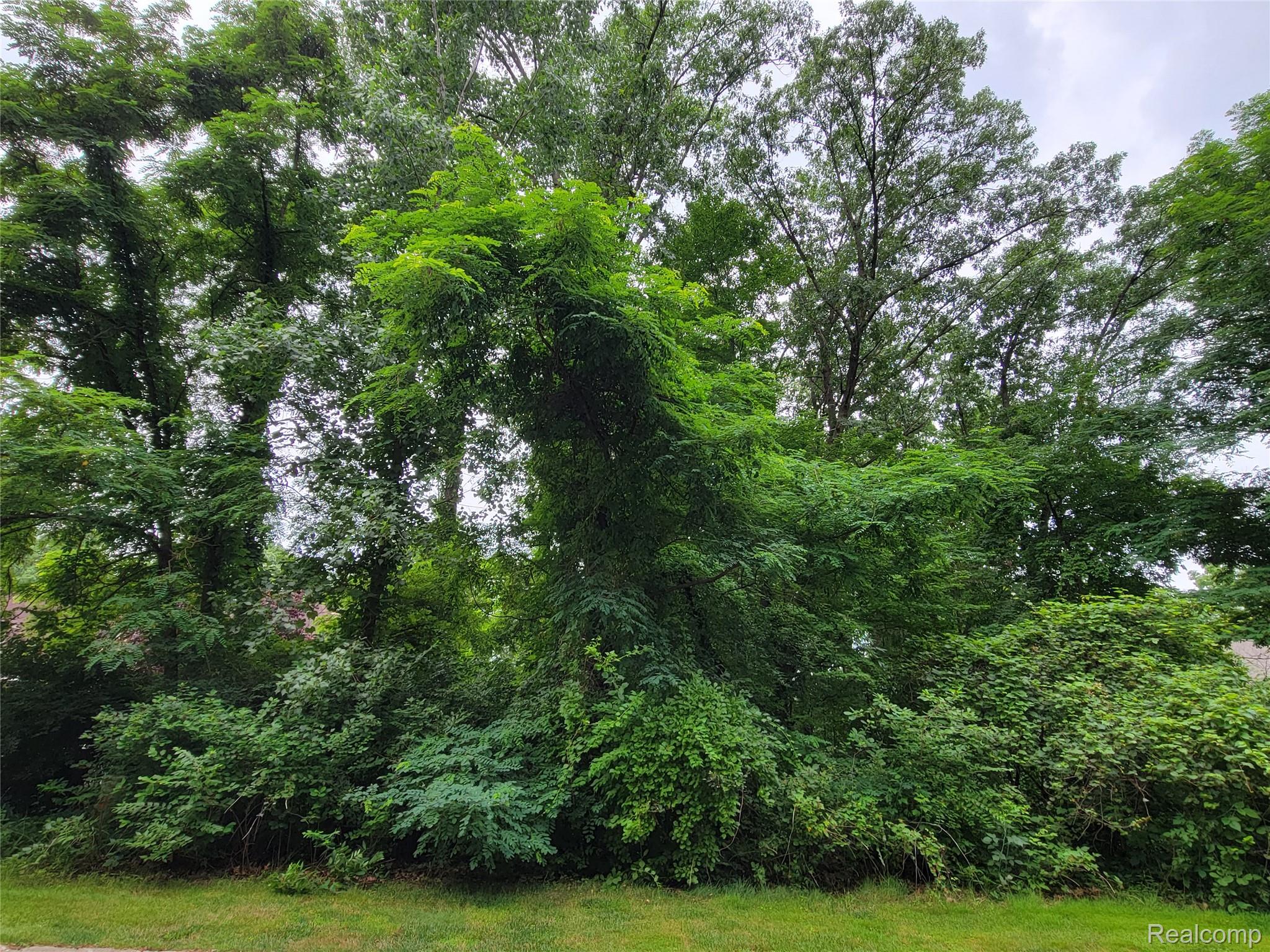 Lot 41 - Pinemont Hamburg Township MI 48116
