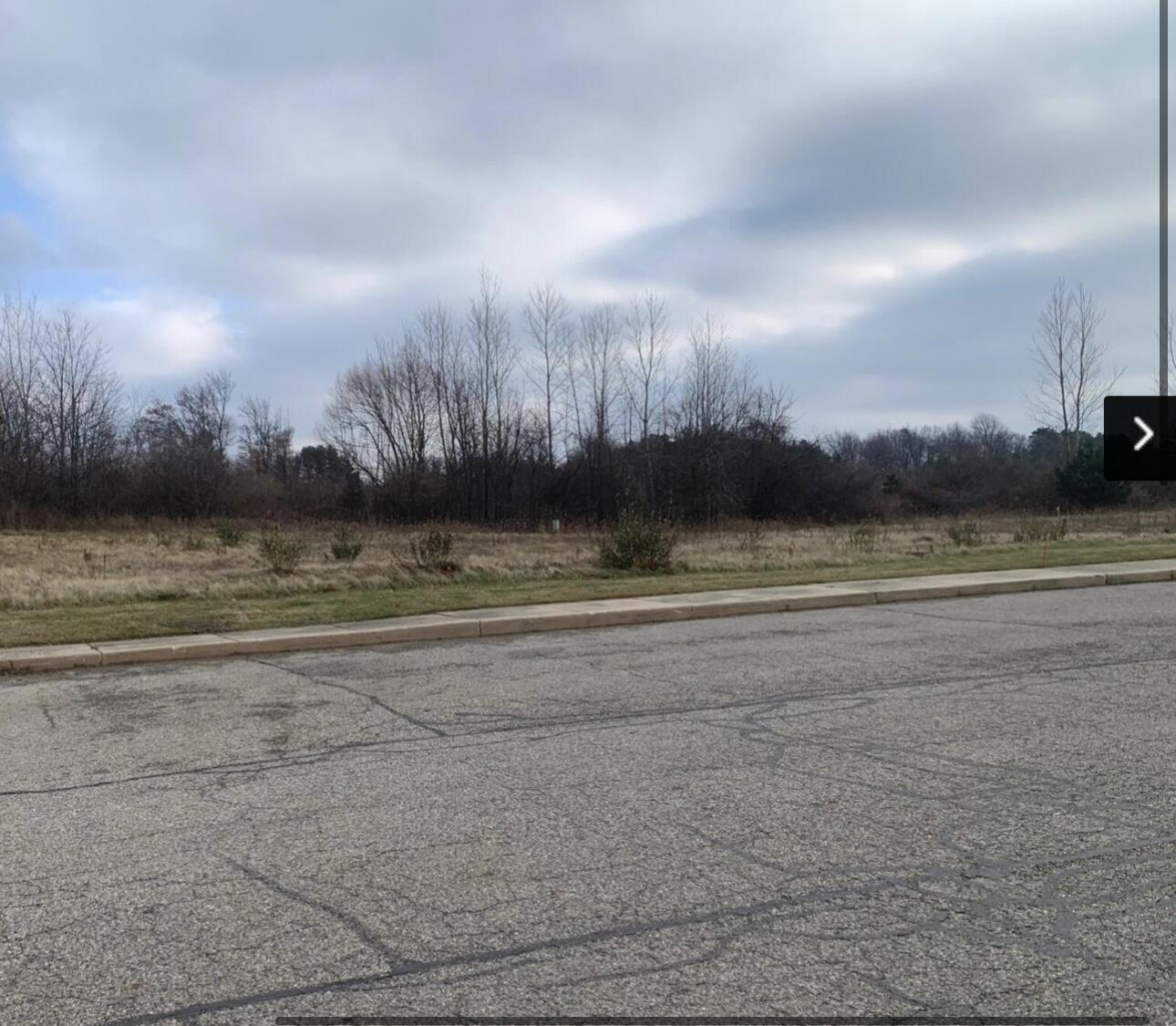 Vl W Washington Street Greenville City MI 48838