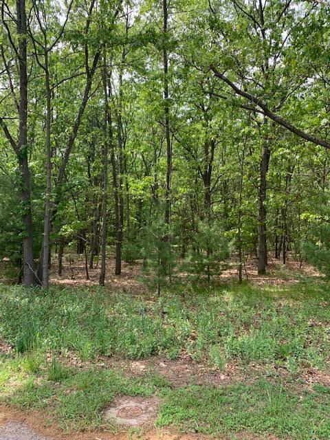 Lot 10 Lewanee Street Montague Township MI 49437