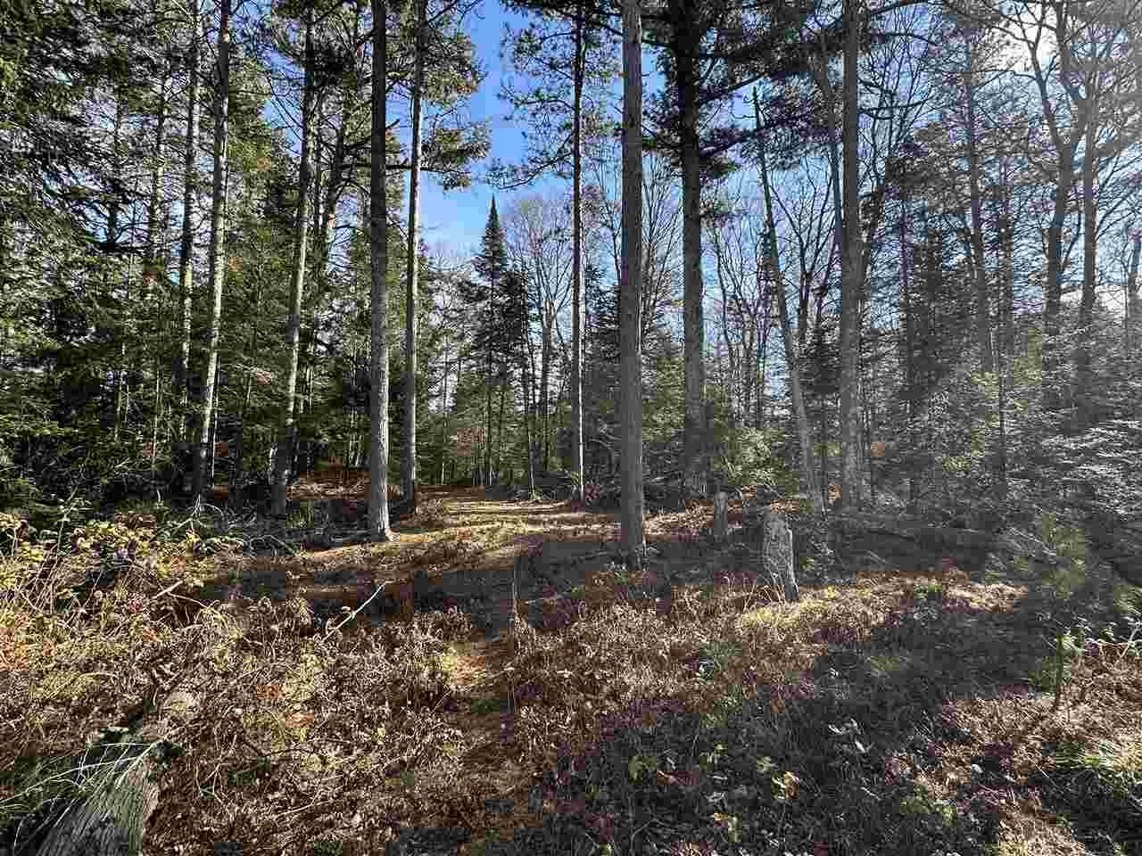 32010 Mrs Reddings Trail Peaine Township MI 49782