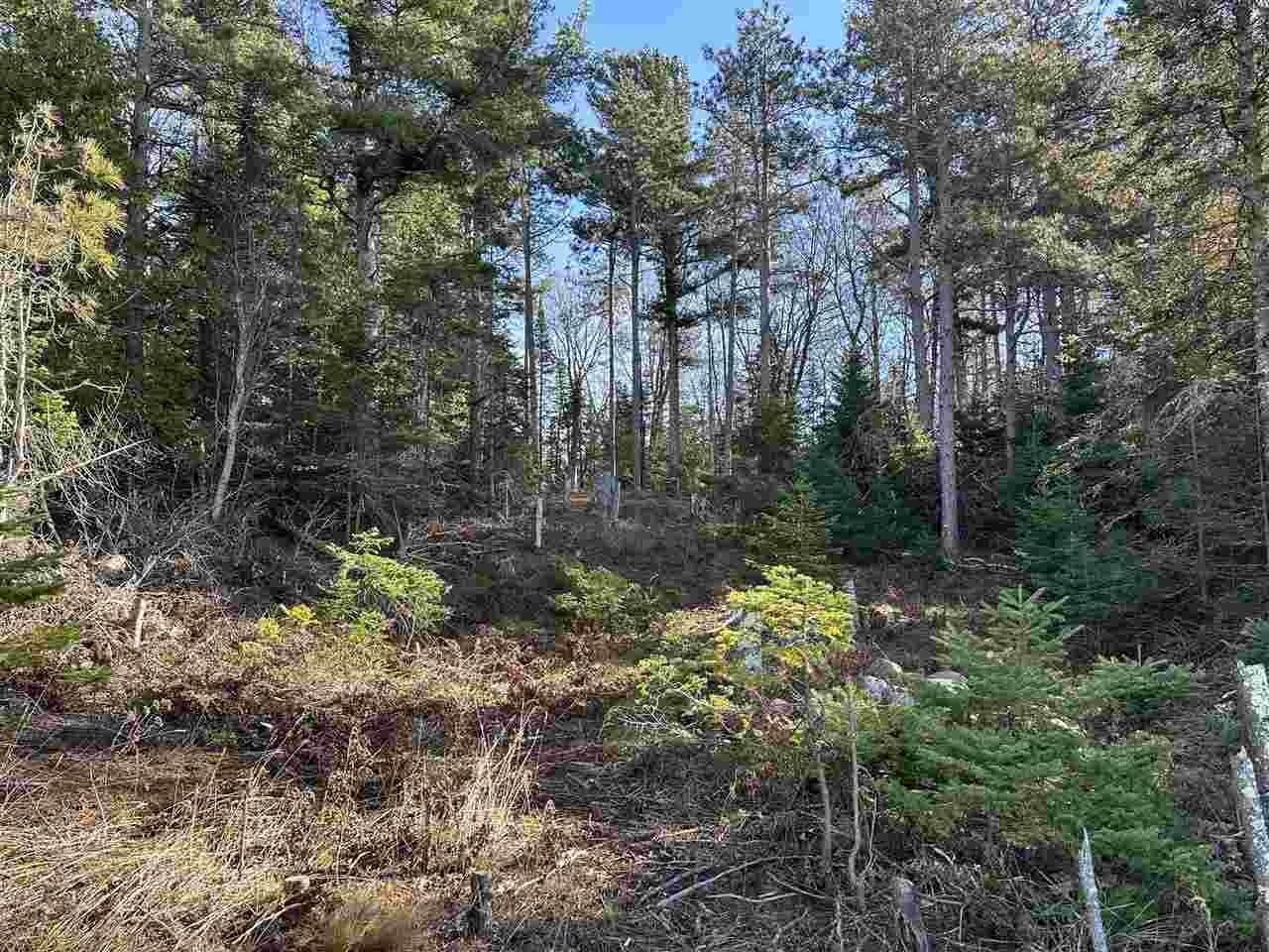 32010 Mrs Reddings Trail Peaine Township MI 49782