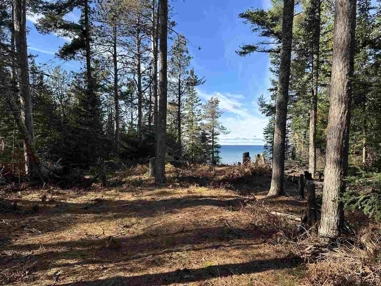 32010 Mrs Reddings Trail Peaine Township MI 49782