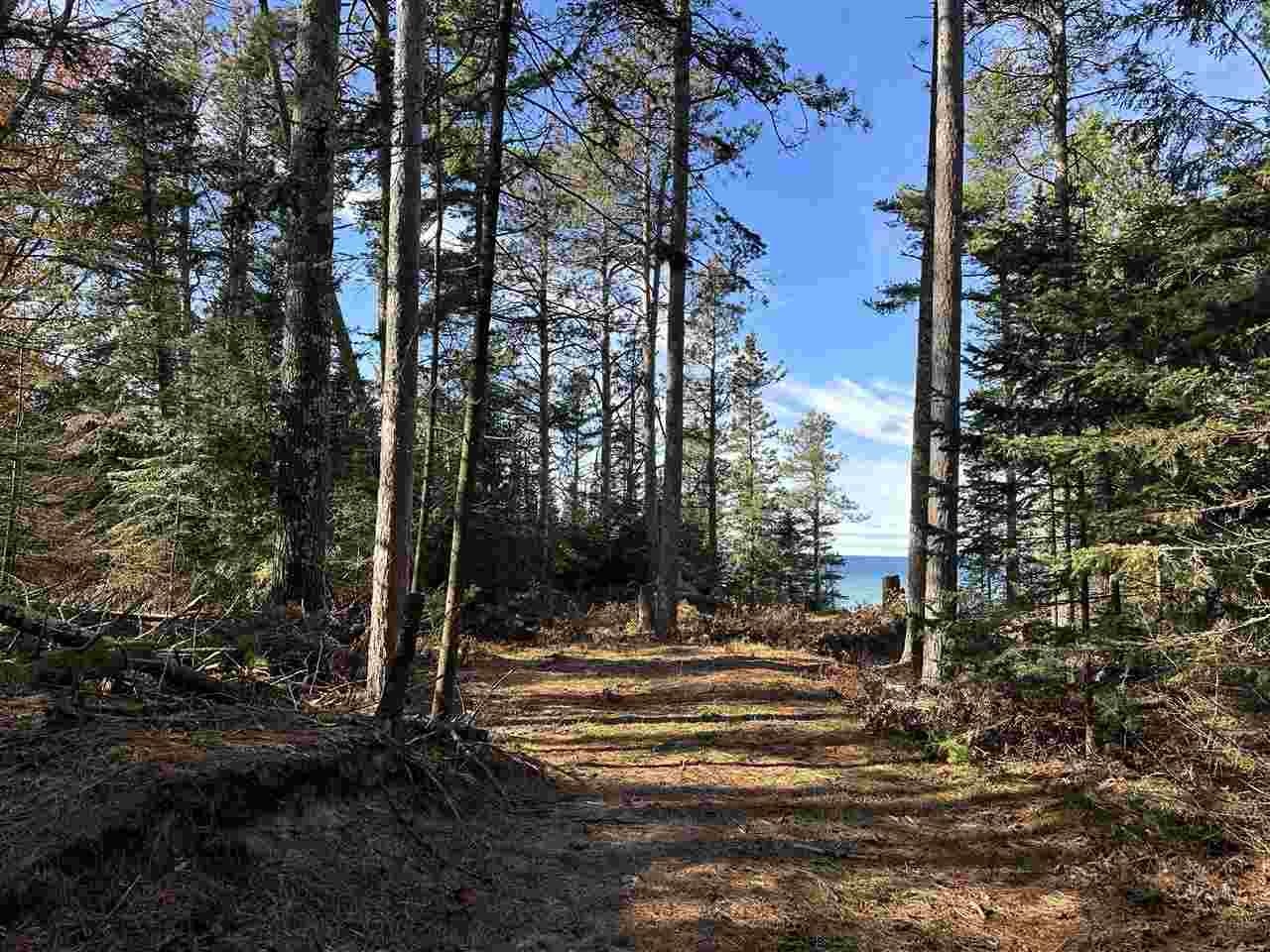 32010 Mrs Reddings Trail Peaine Township MI 49782