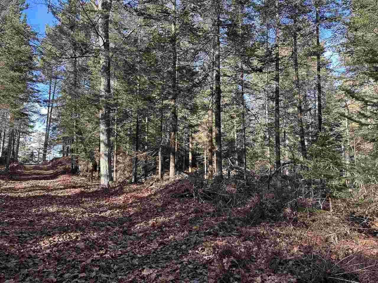 32010 Mrs Reddings Trail Peaine Township MI 49782