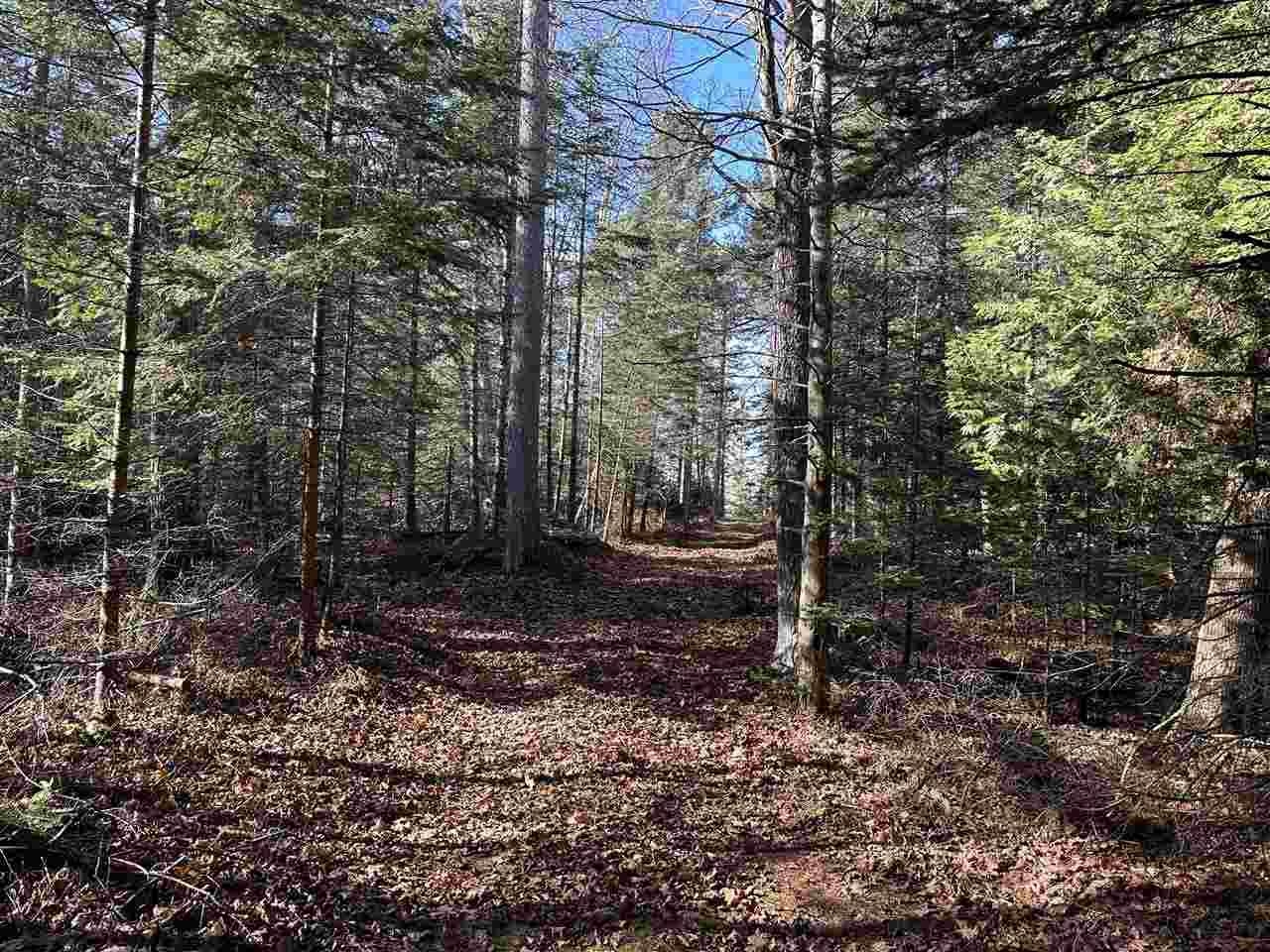 32010 Mrs Reddings Trail Peaine Township MI 49782