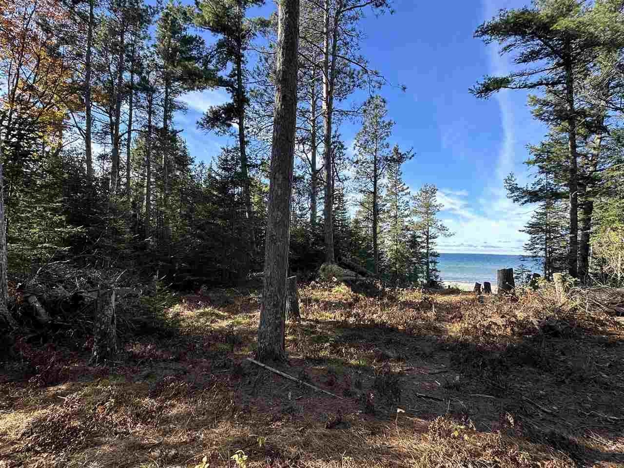 32010 Mrs Reddings Trail Peaine Township MI 49782