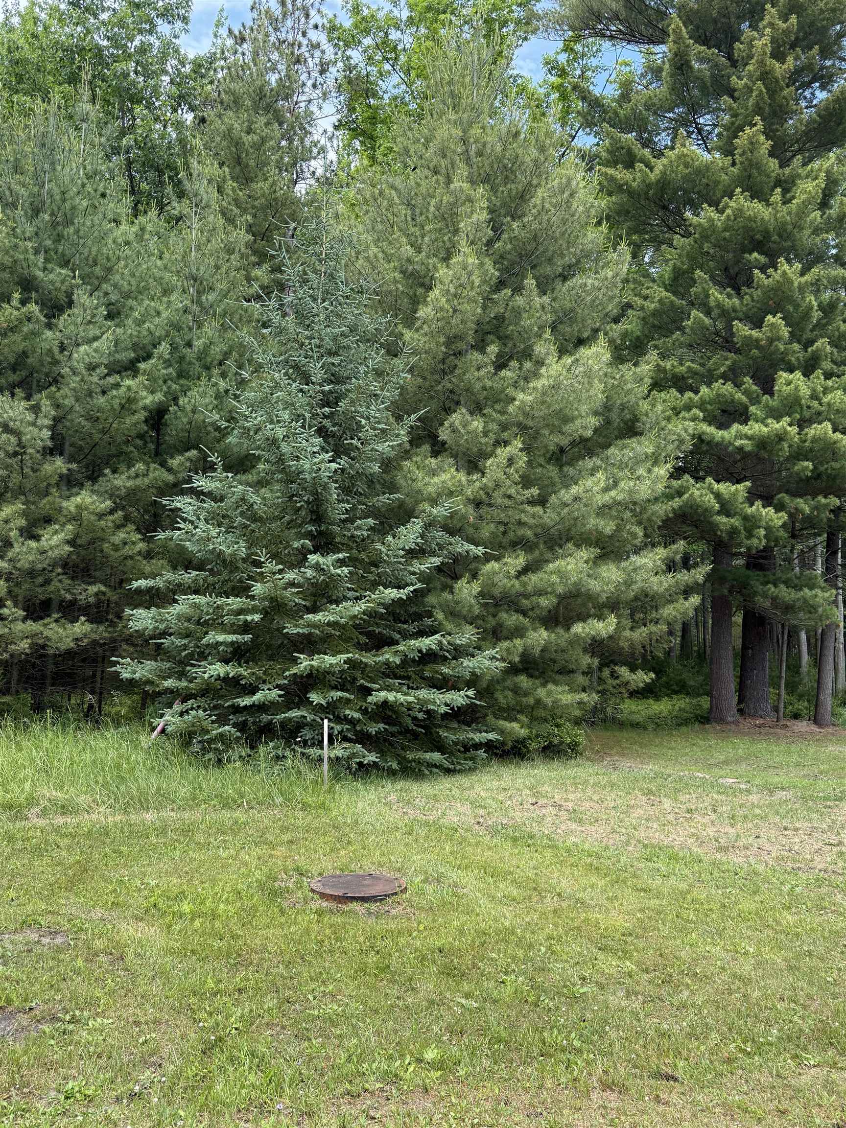 741 Manning Lane Baldwin Township MI 48730