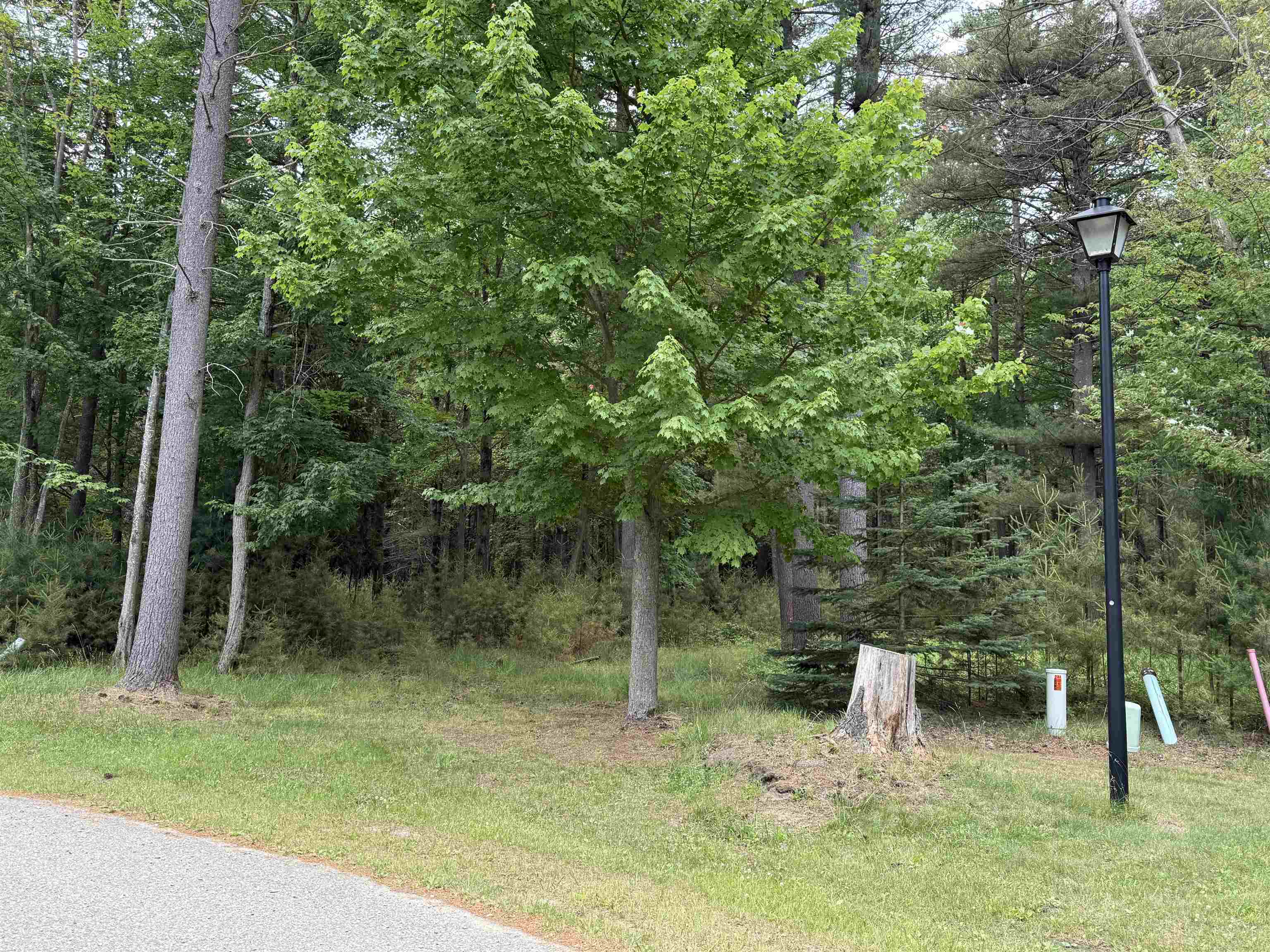 741 Manning Lane Baldwin Township MI 48730