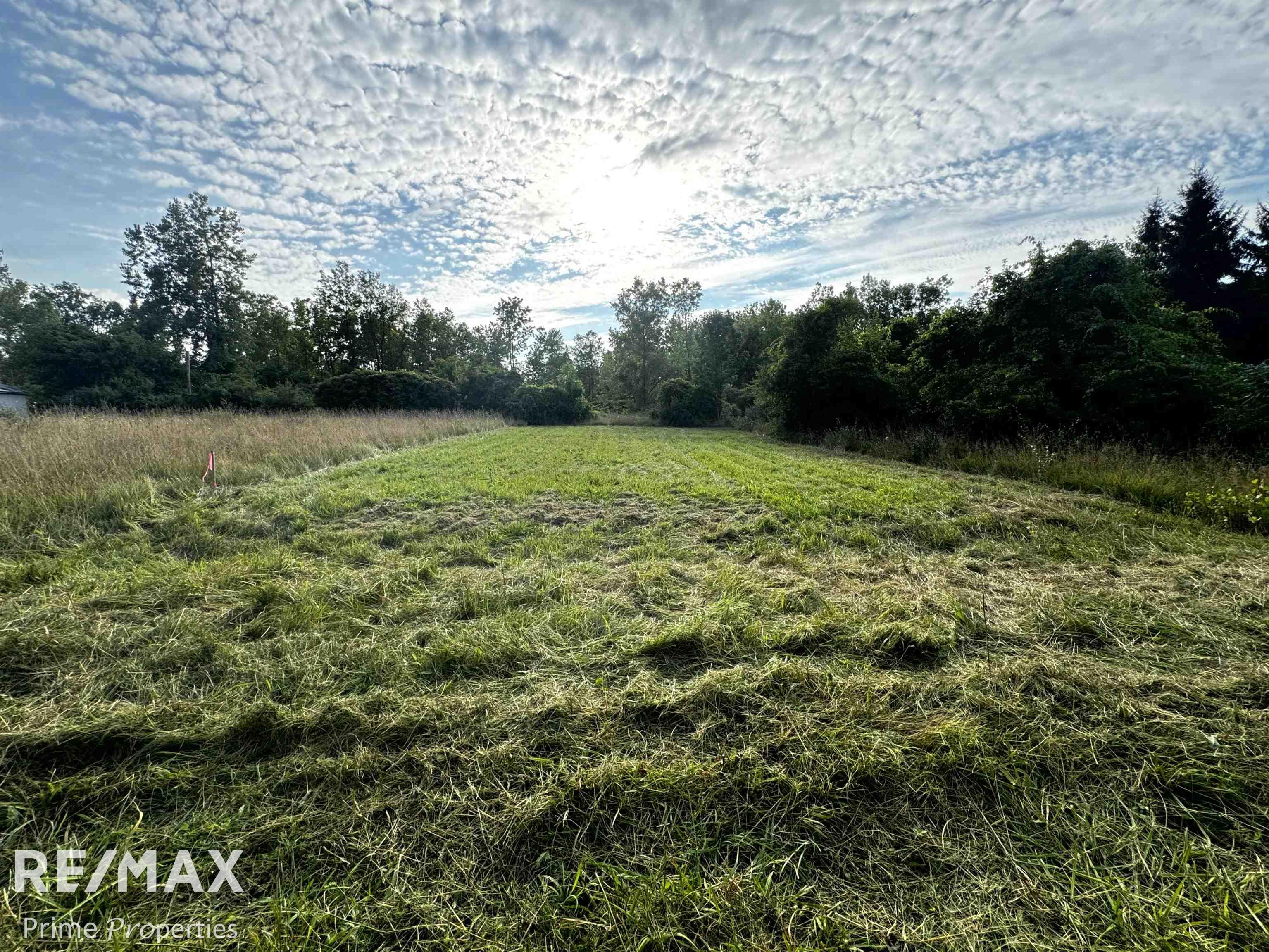 000 Sylvia Drive Worth Township MI 48450