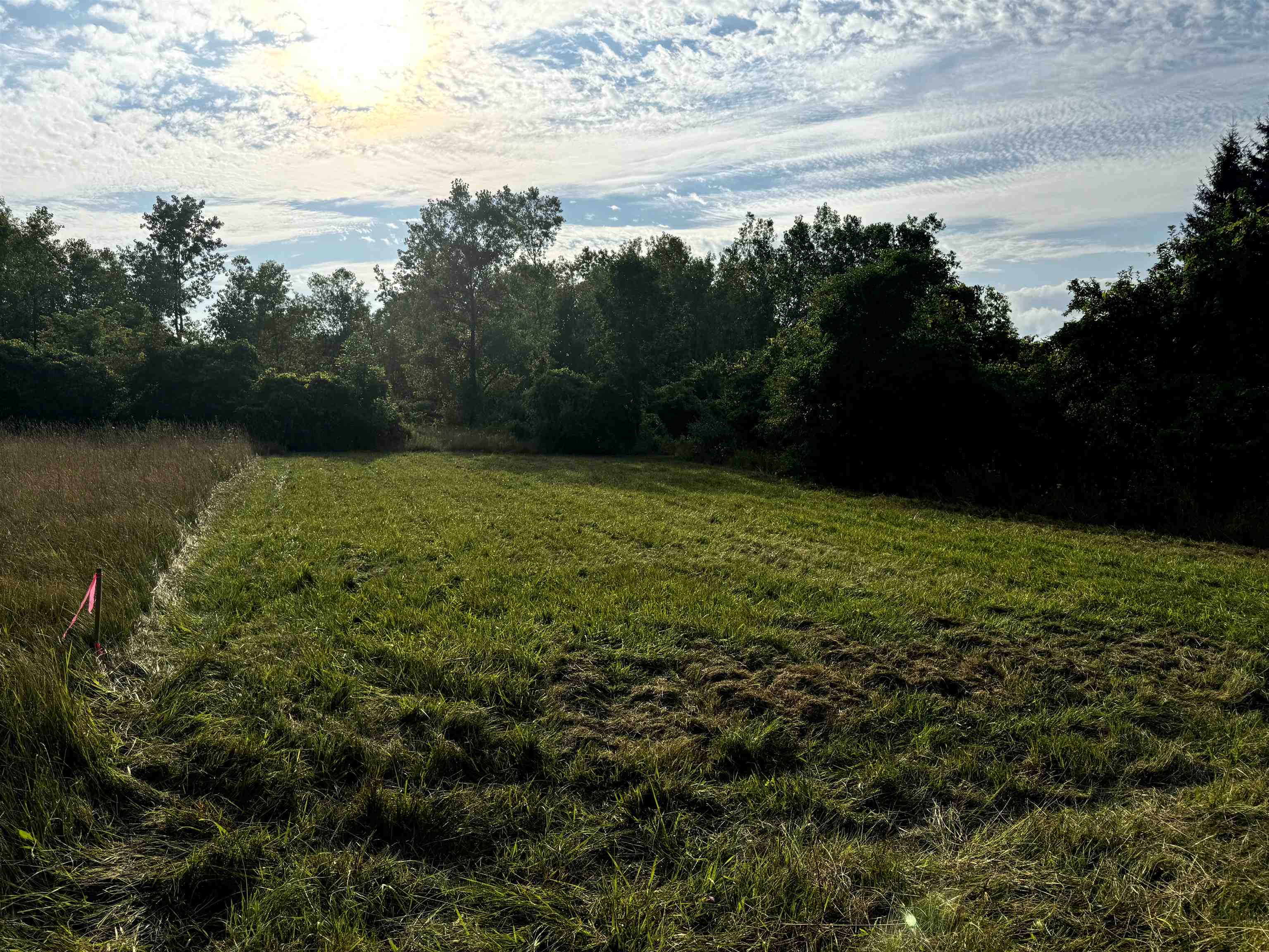 000 Sylvia Drive Worth Township MI 48450