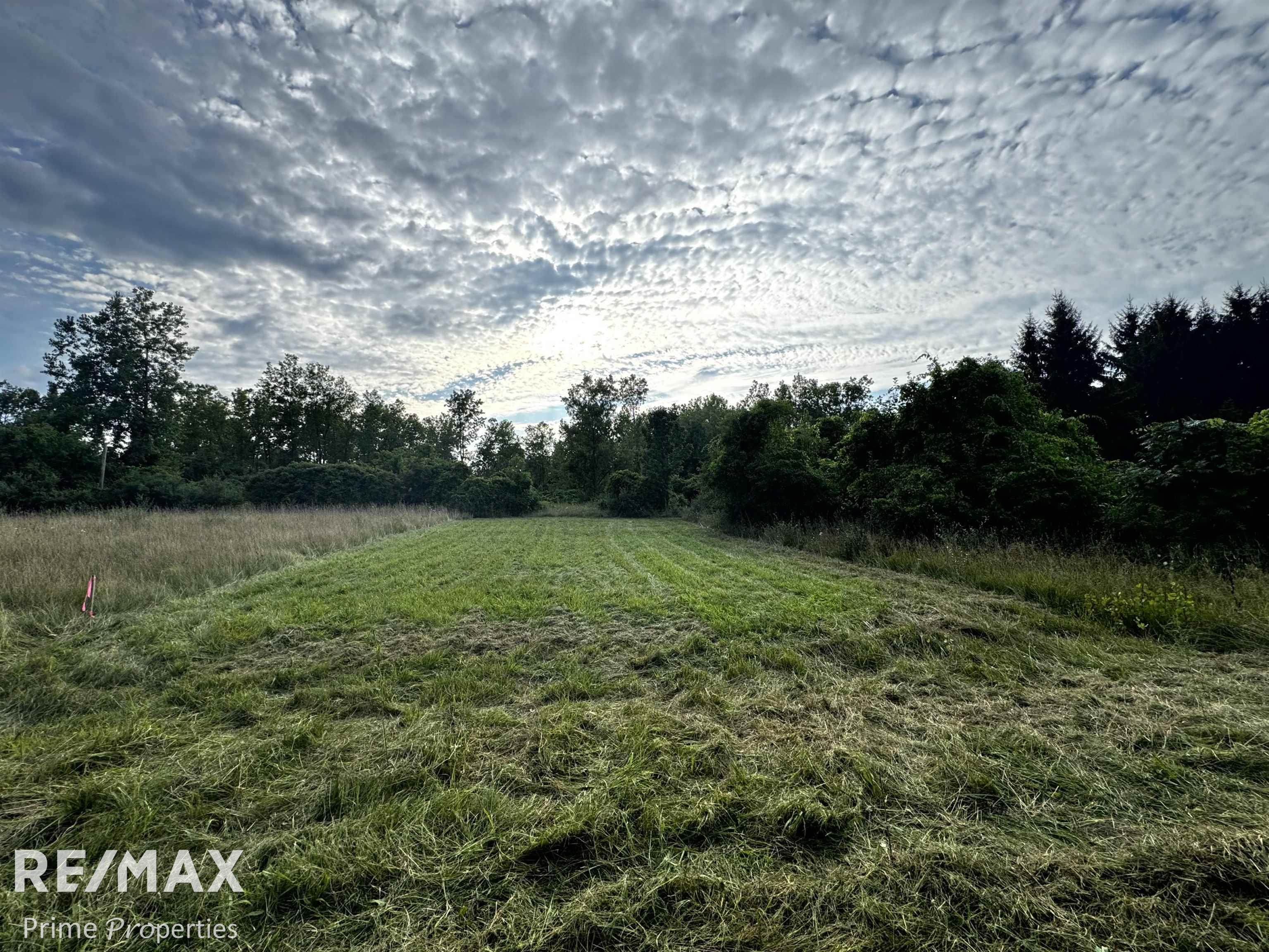 000 Sylvia Drive Worth Township MI 48450