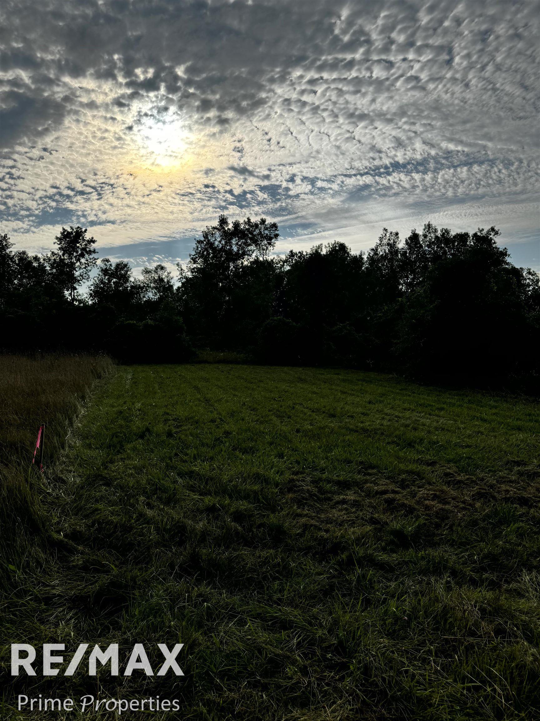 000 Sylvia Drive Worth Township MI 48450