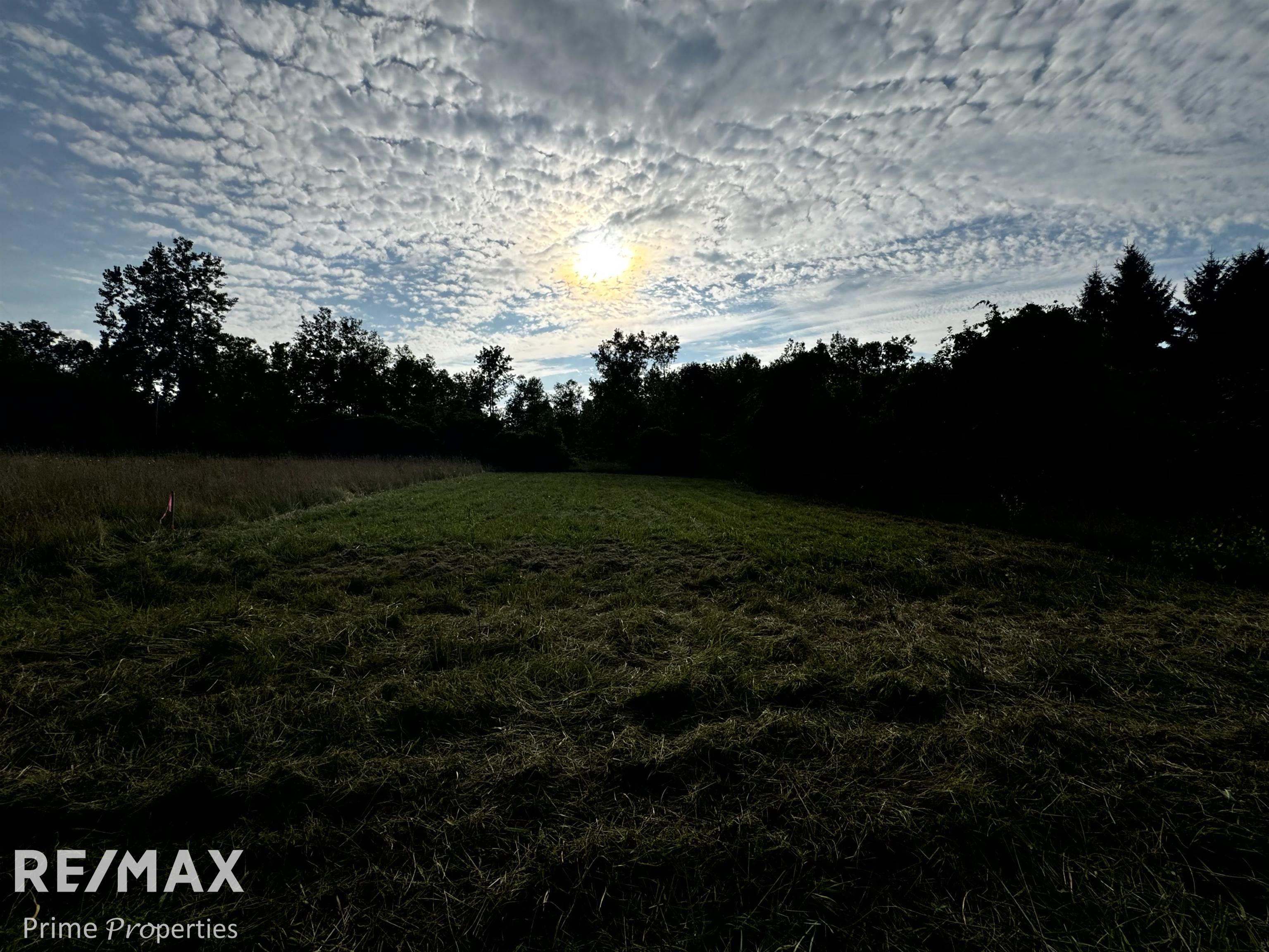000 Sylvia Drive Worth Township MI 48450