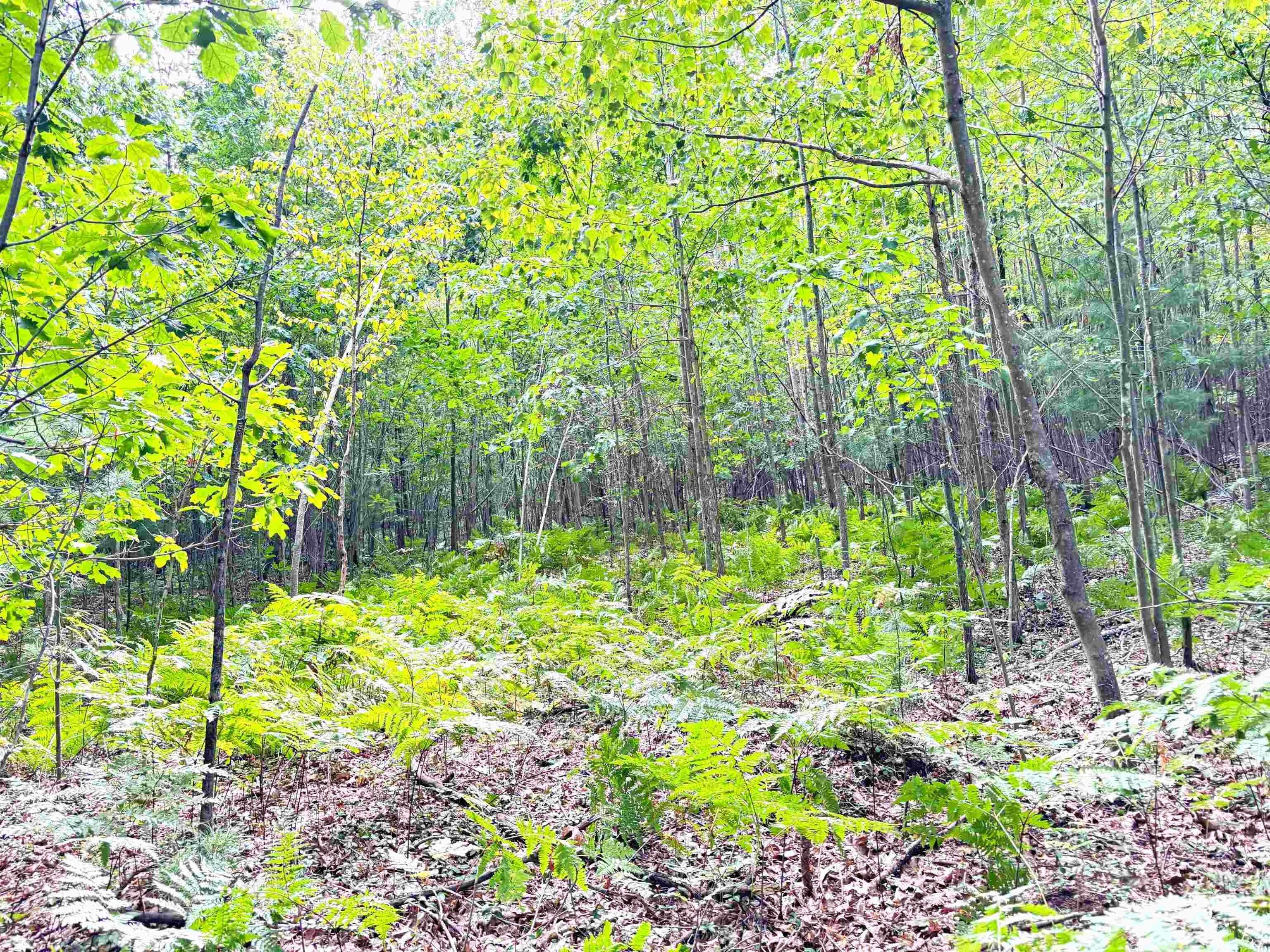 N Leaton Road Denver Township MI 48858
