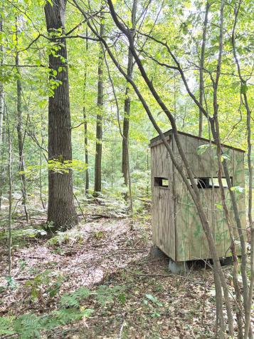 N Leaton Road Denver Township MI 48858