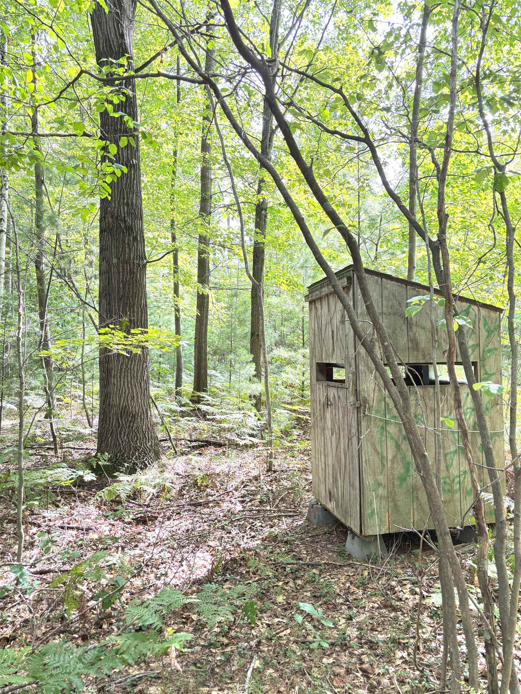 N Leaton Road Denver Township MI 48858