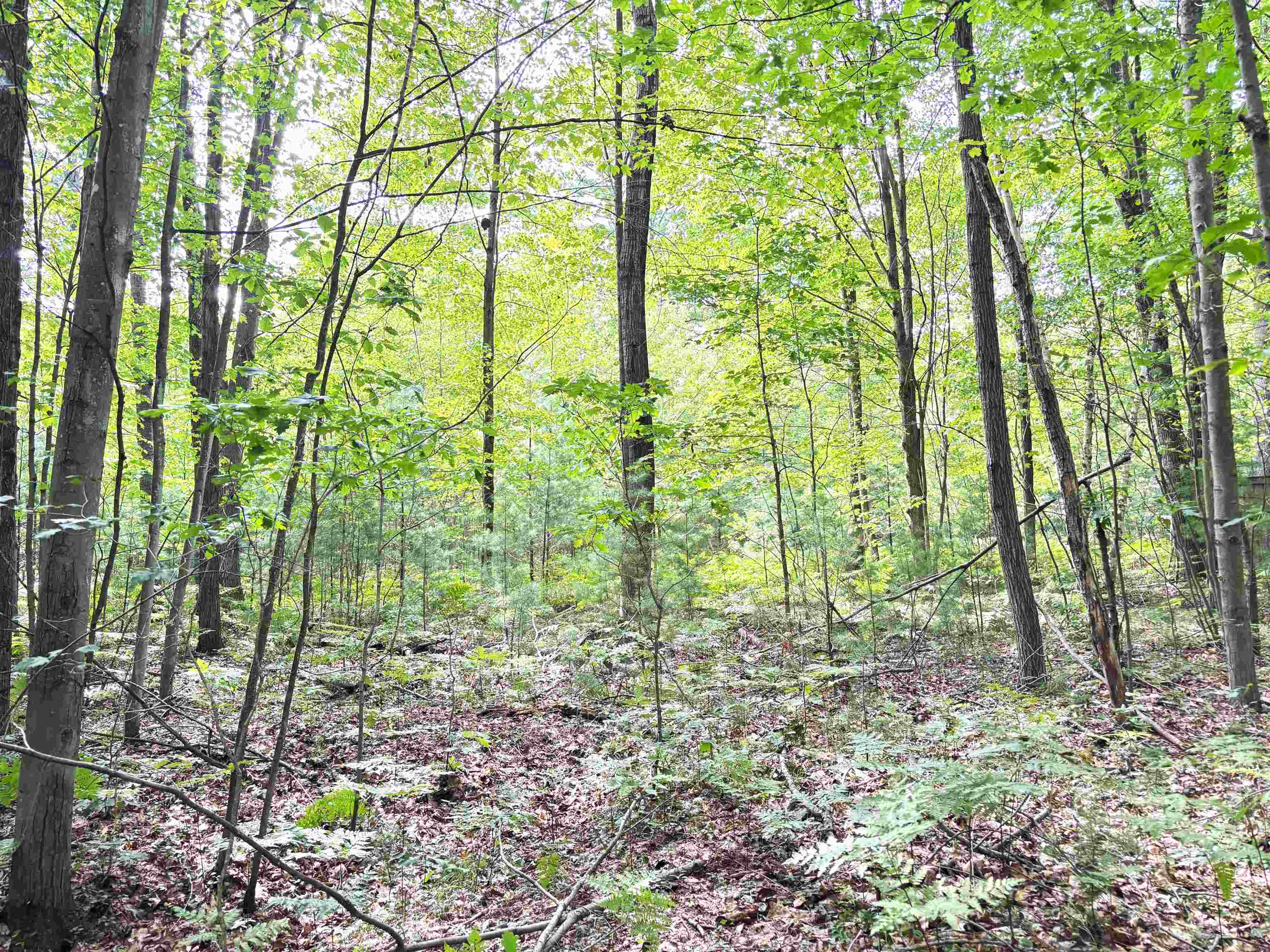 N Leaton Road Denver Township MI 48858