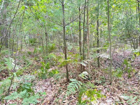 N Leaton Road Denver Township MI 48858