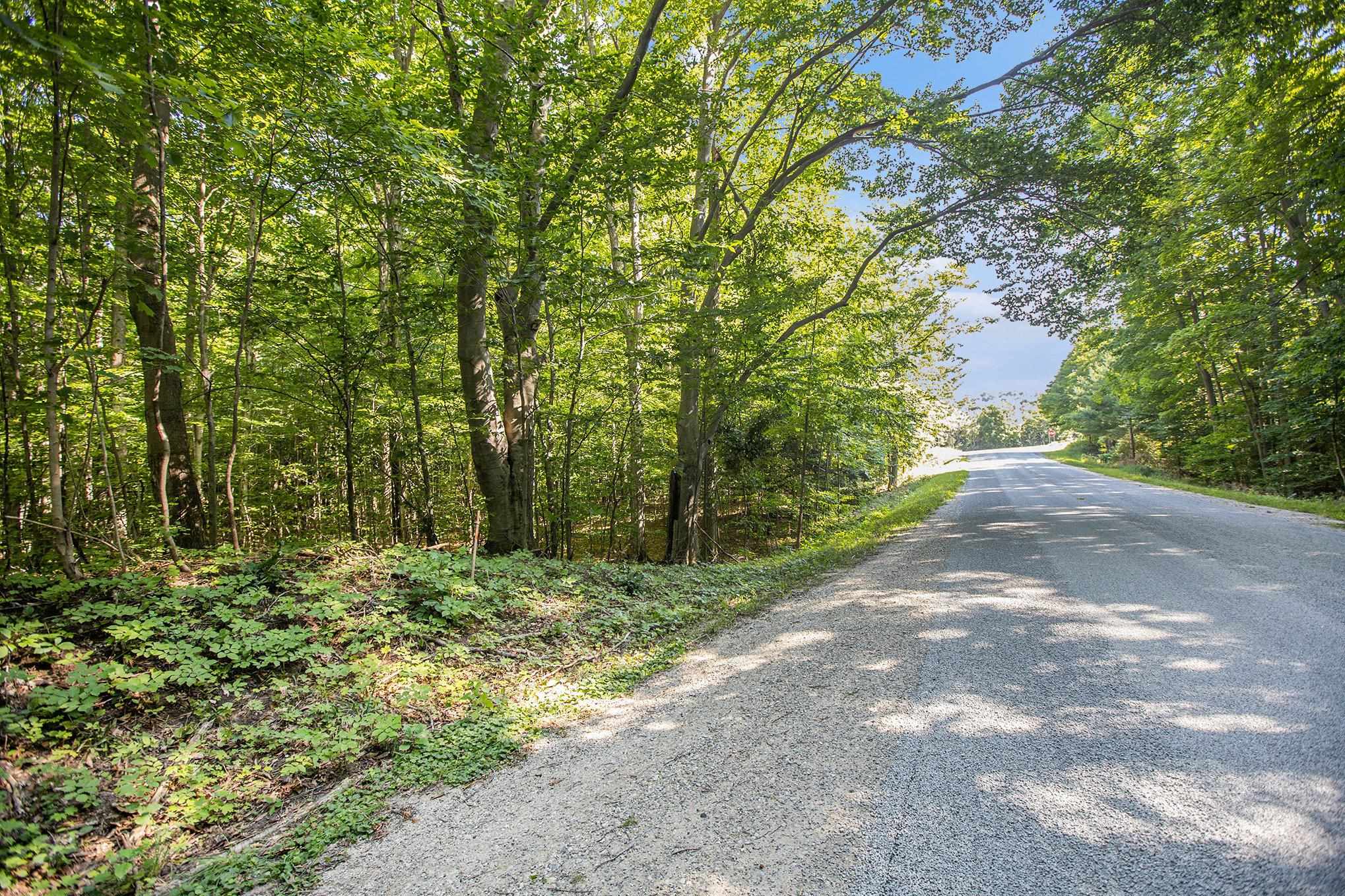 313 Shorewood Drive Crystal Lake Township MI 49635