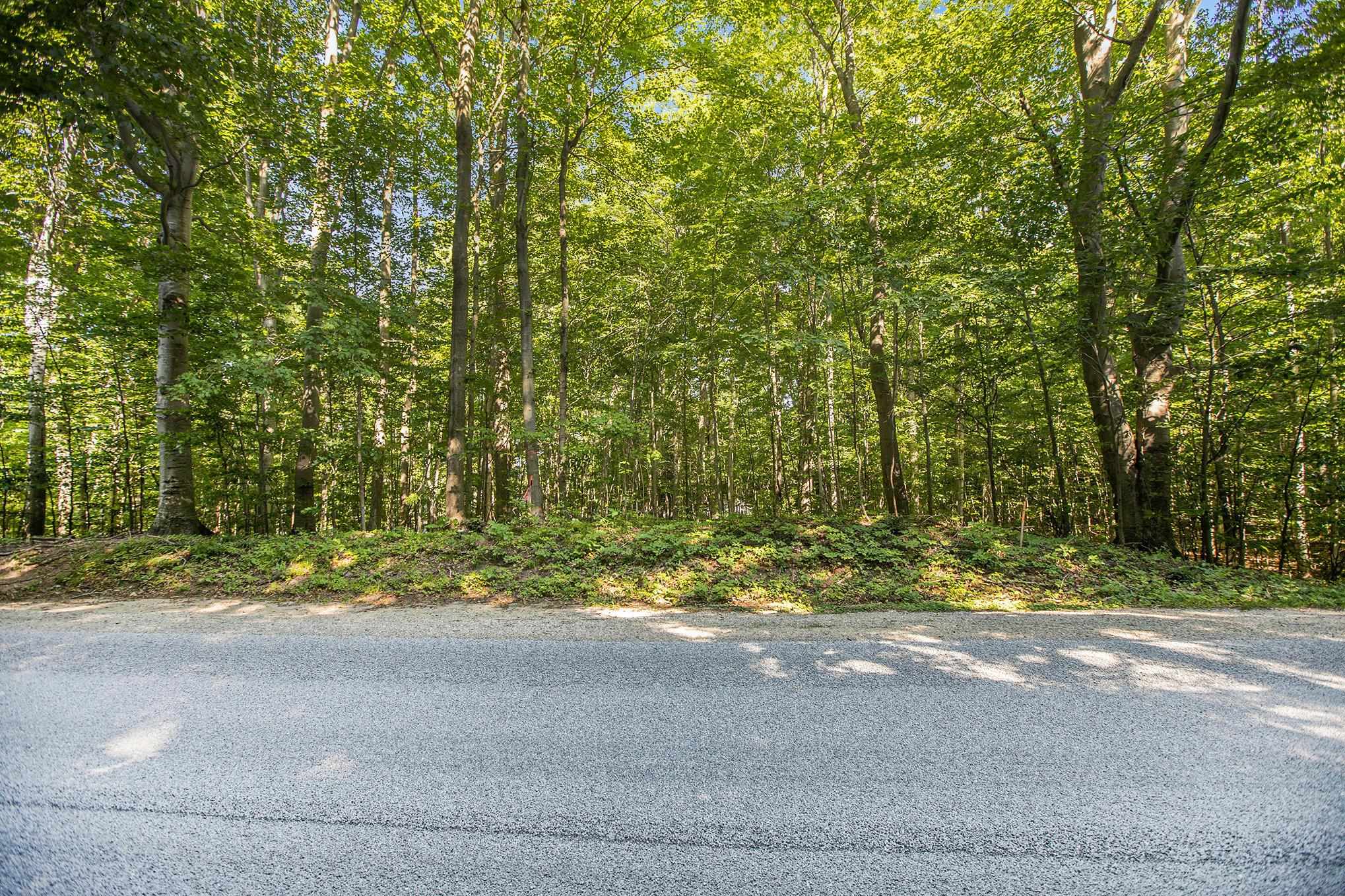 313 Shorewood Drive Crystal Lake Township MI 49635