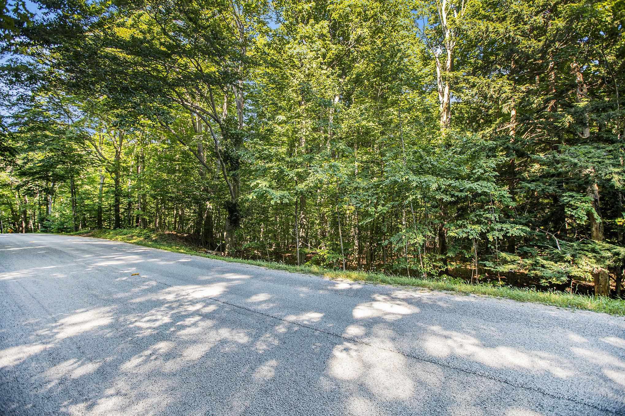 313 Shorewood Drive Crystal Lake Township MI 49635
