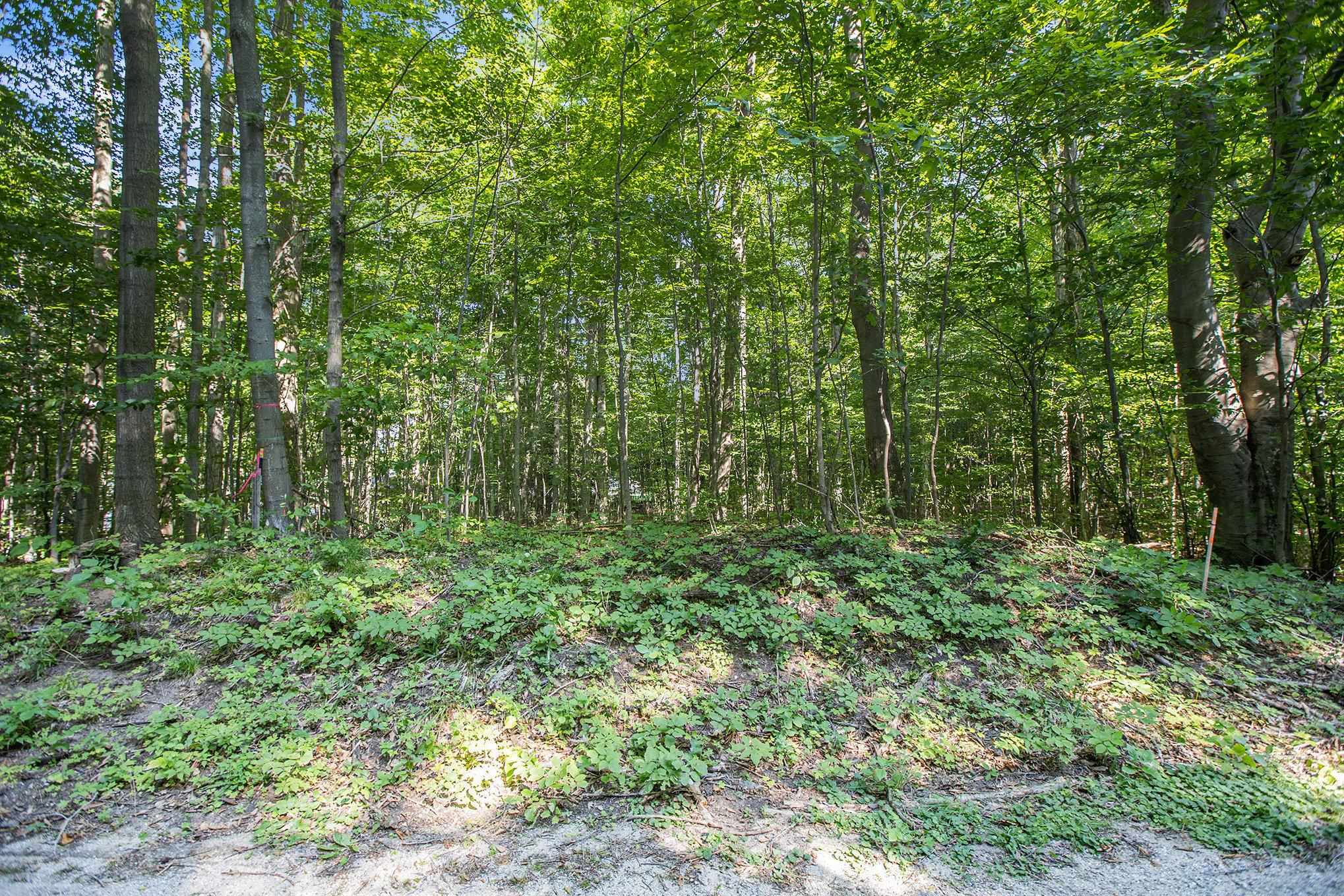 313 Shorewood Drive Crystal Lake Township MI 49635