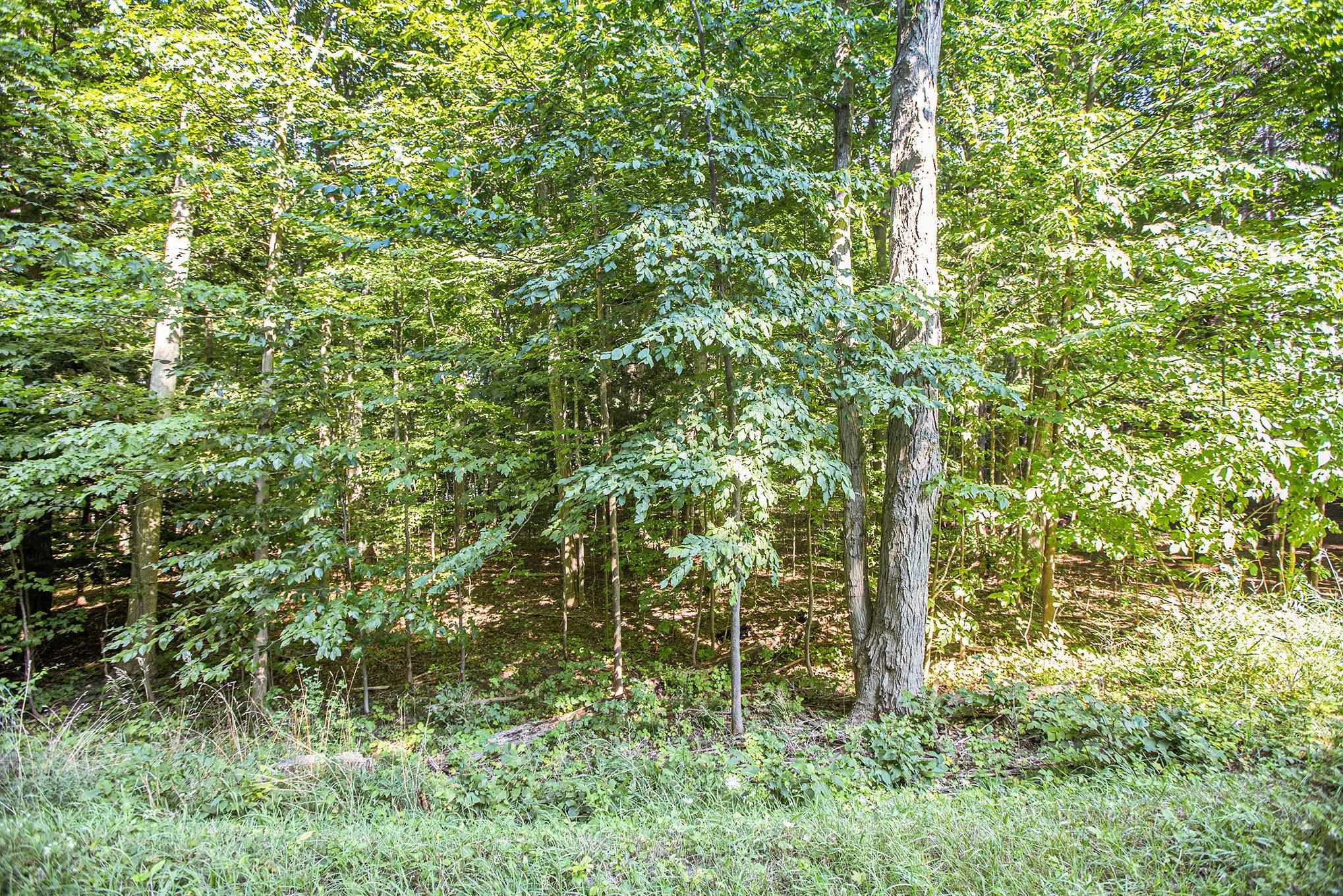 313 Shorewood Drive Crystal Lake Township MI 49635