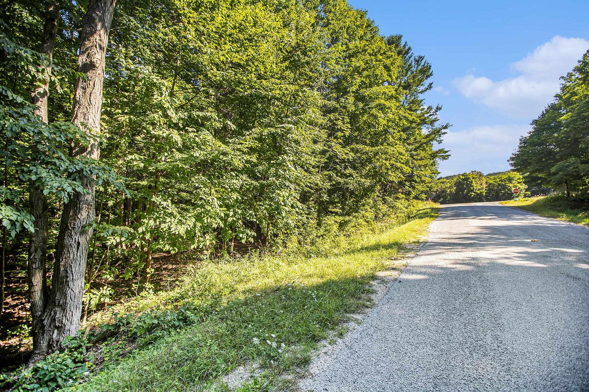 313 Shorewood Drive Crystal Lake Township MI 49635